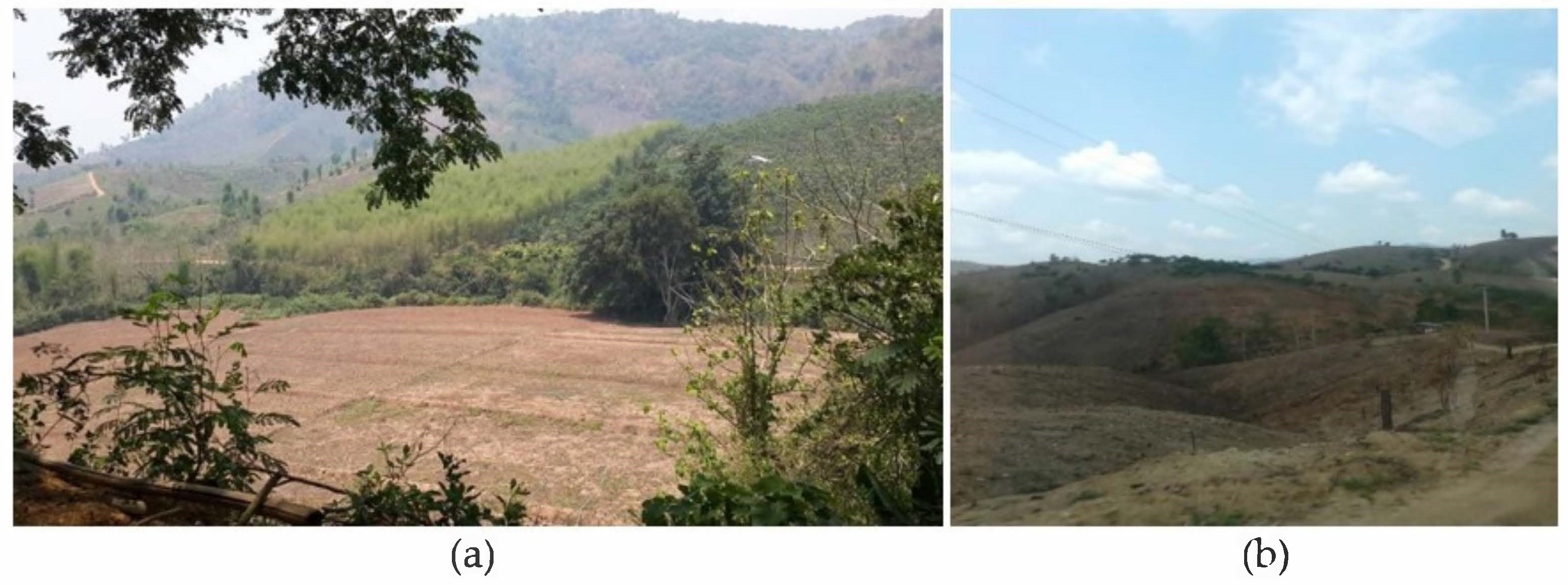 Sustainability 13 09821 g002