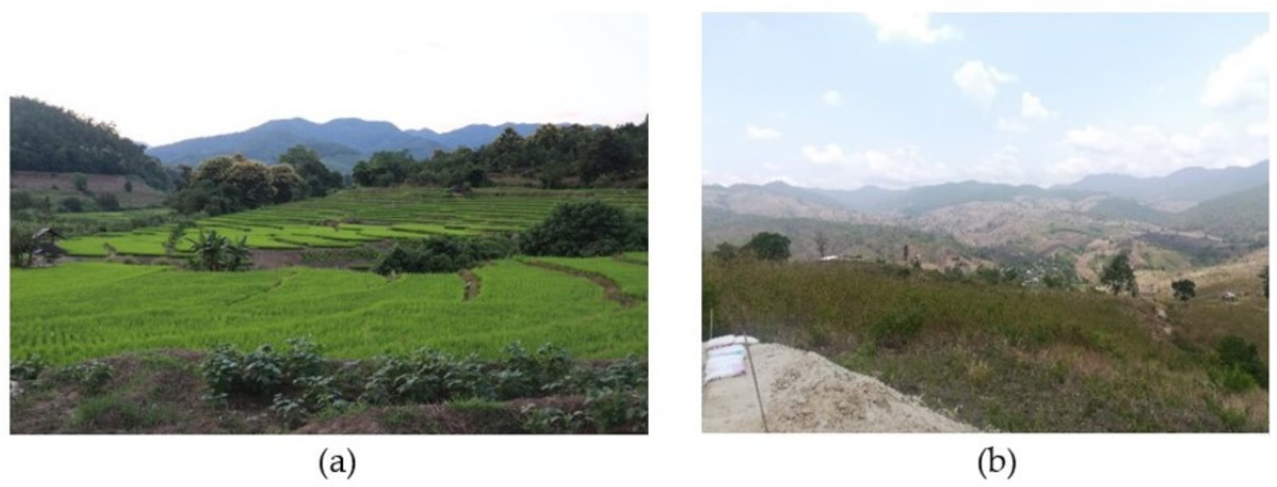 Sustainability 13 09821 g005