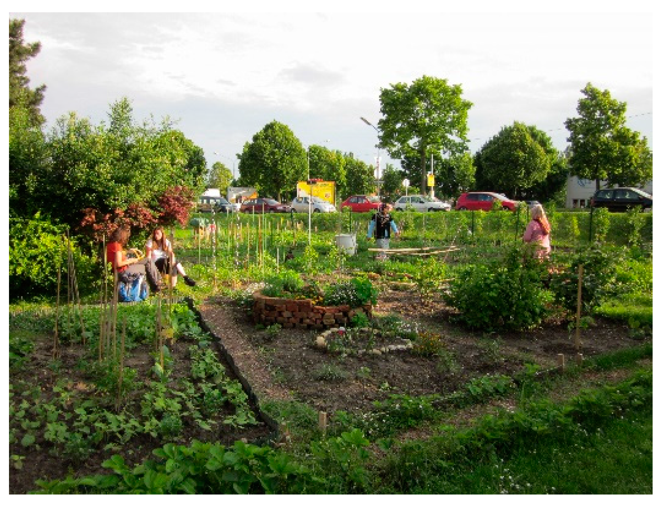 Sustainability 13 09864 g005