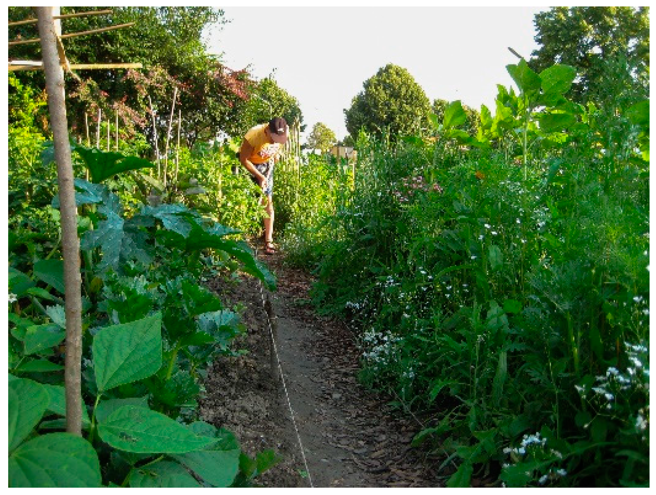 Sustainability 13 09864 g007