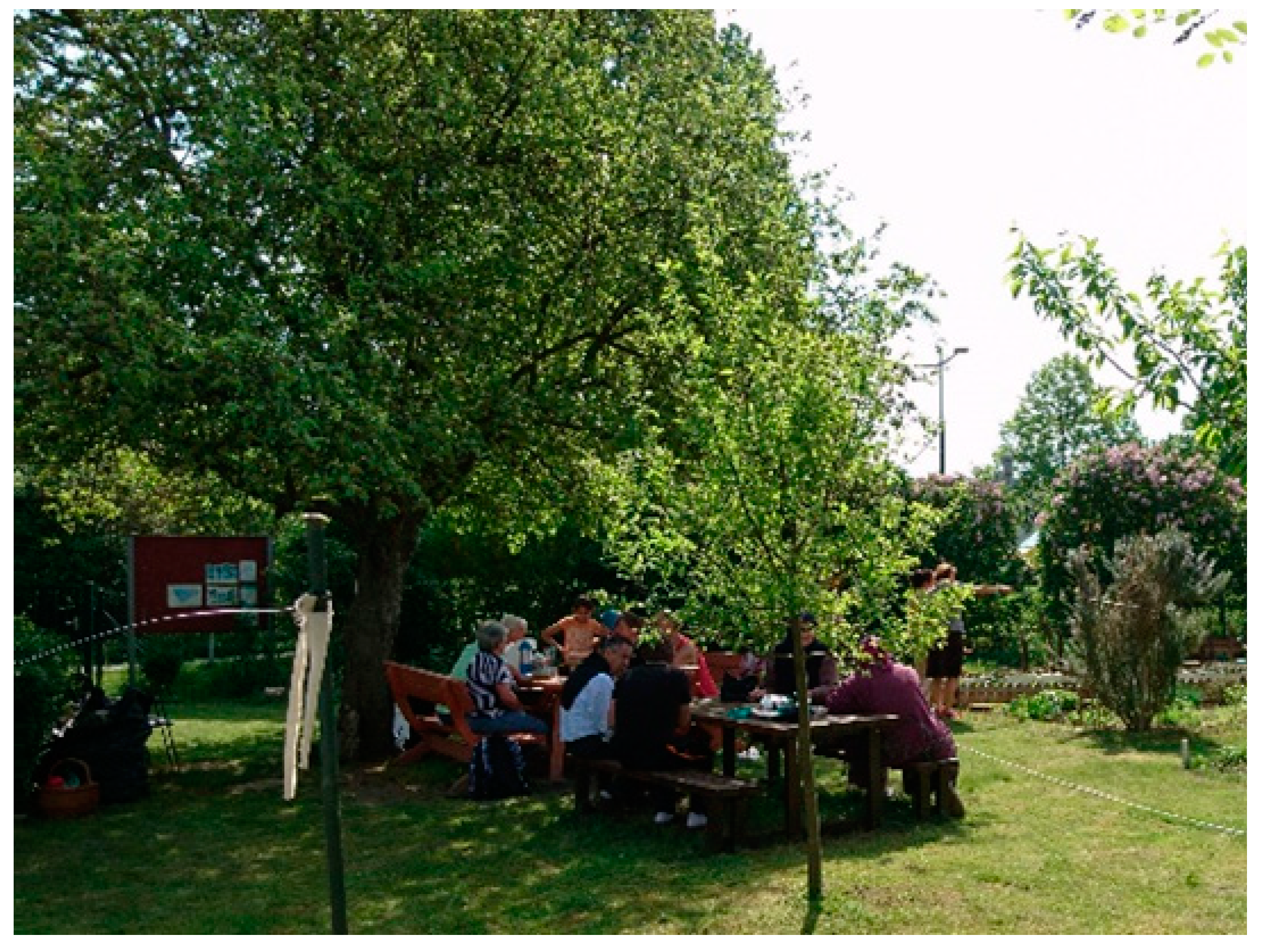 Sustainability 13 09864 g008