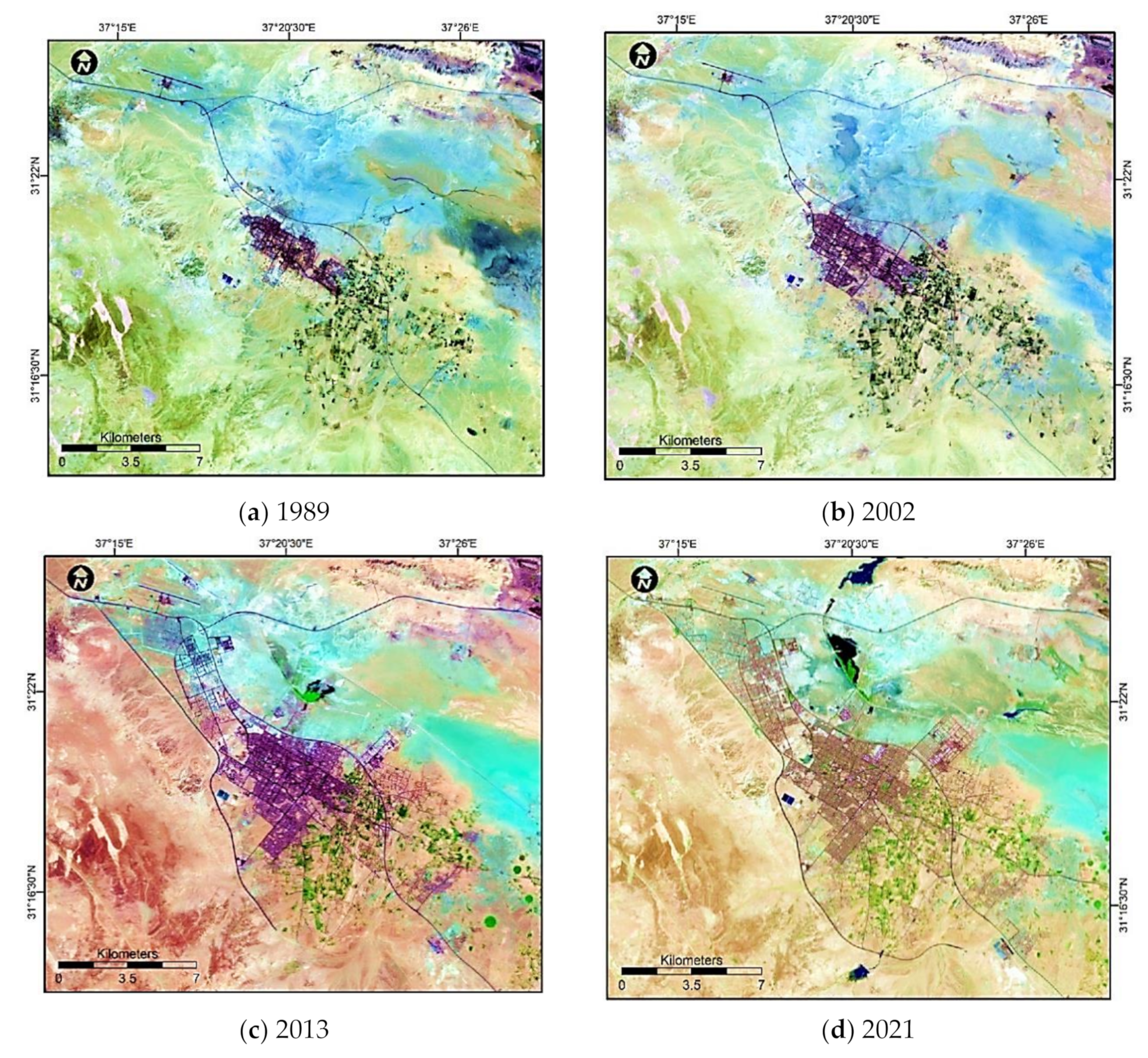 Sustainability 13 09913 g005