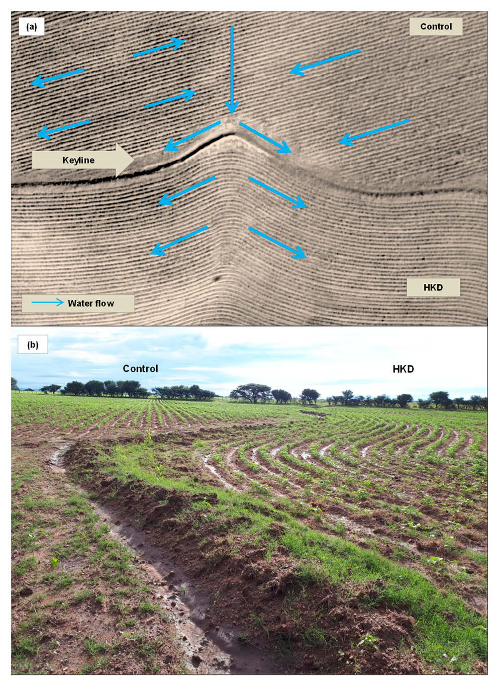 Sustainability 13 09982 g007