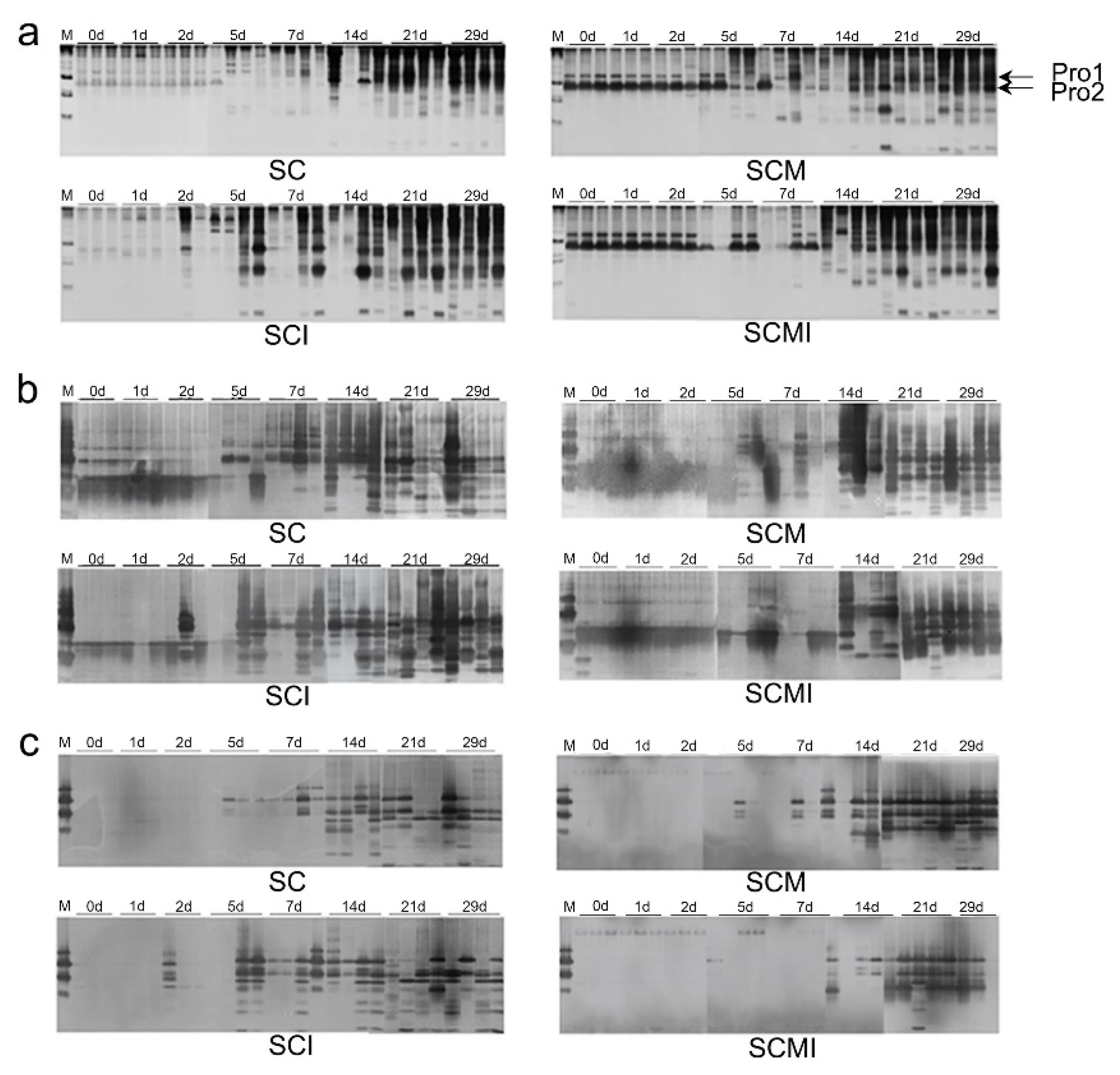 Sustainability 13 10002 g005