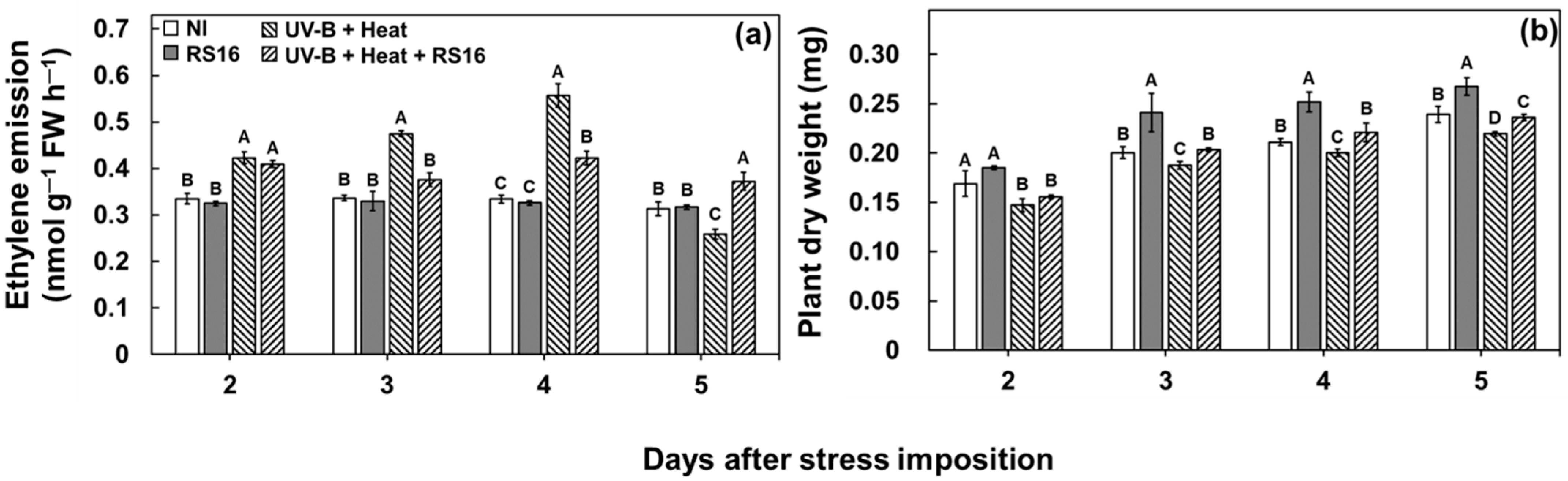 Sustainability 13 10013 g001