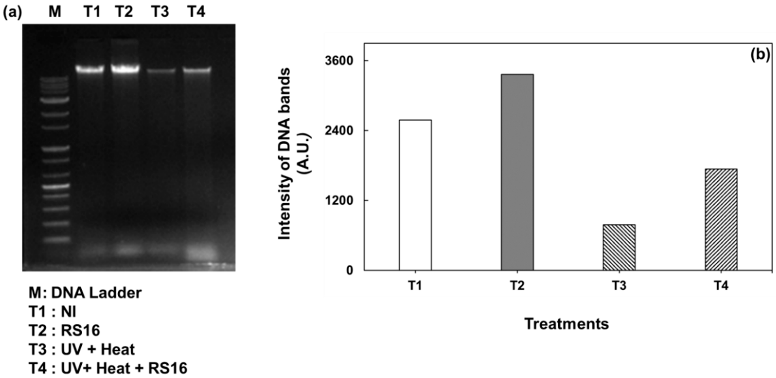 Sustainability 13 10013 g003