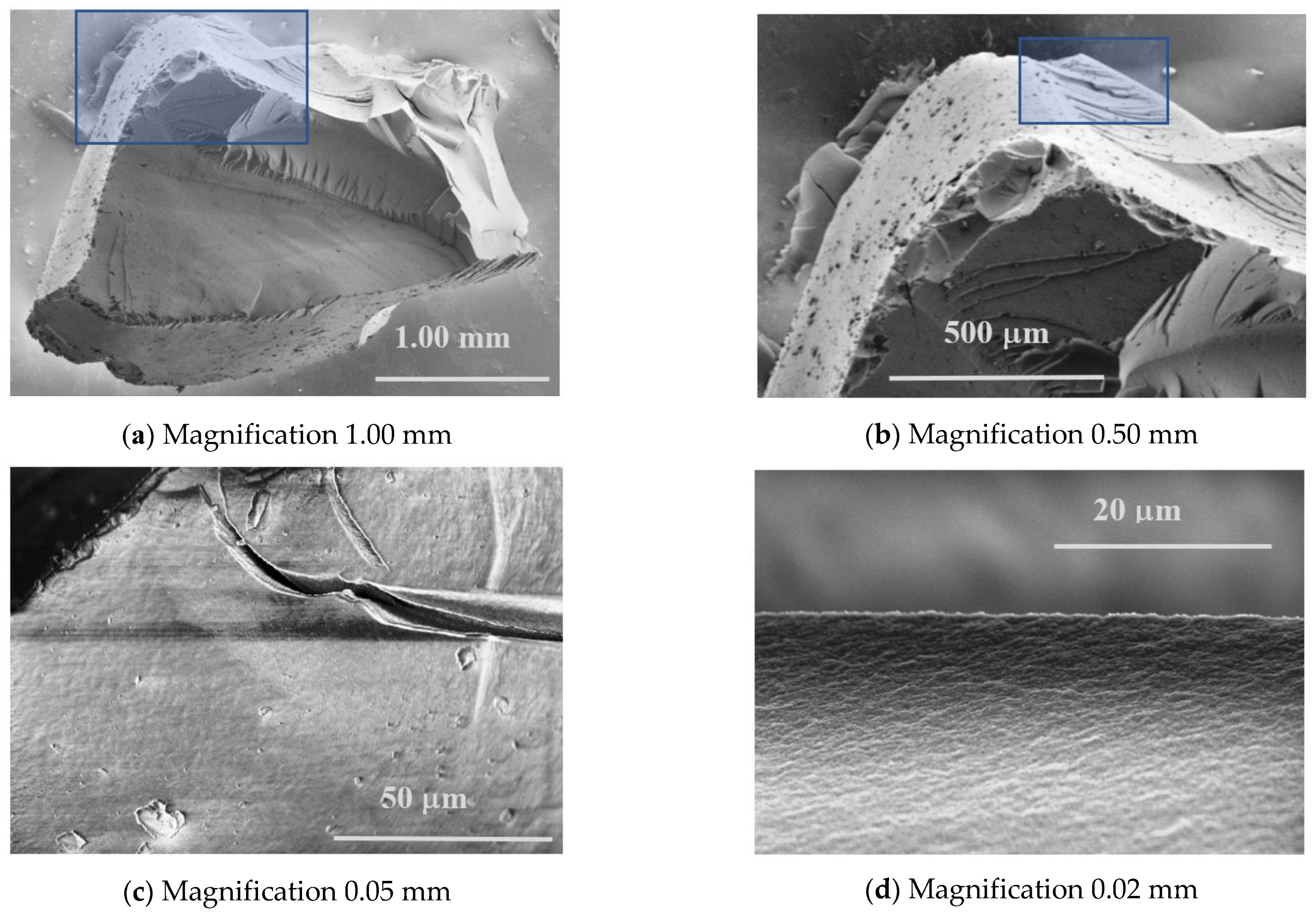 Sustainability 13 10035 g007