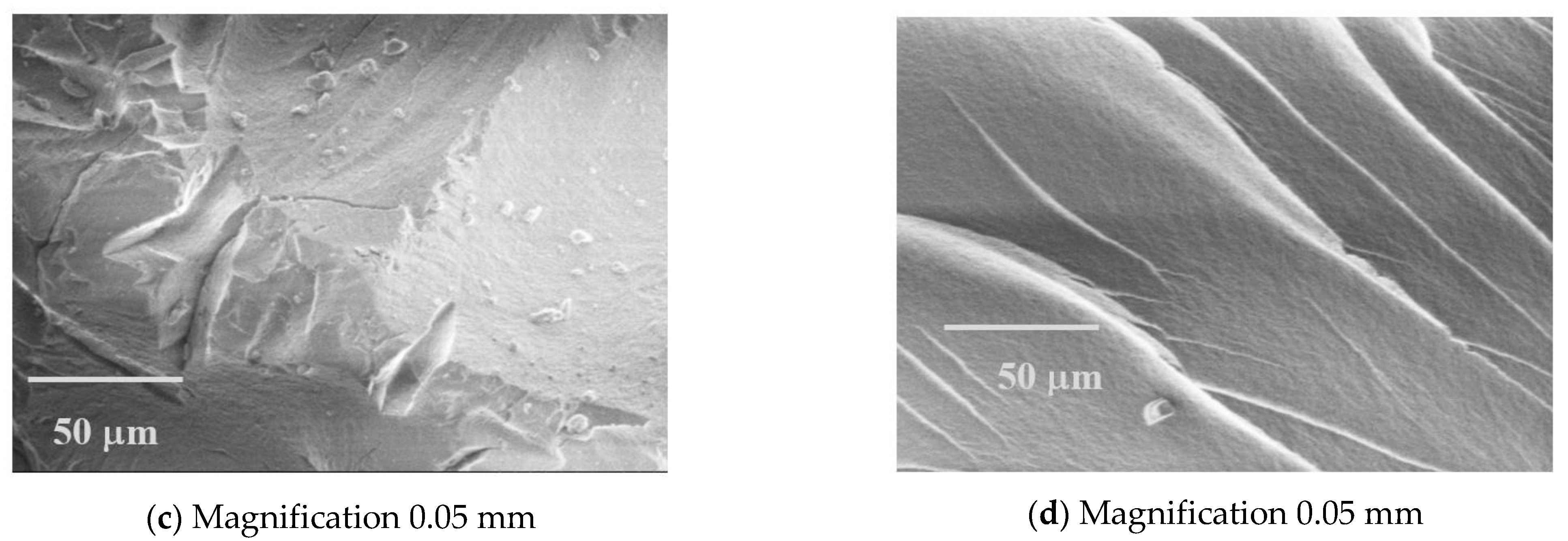 Sustainability 13 10035 g008b