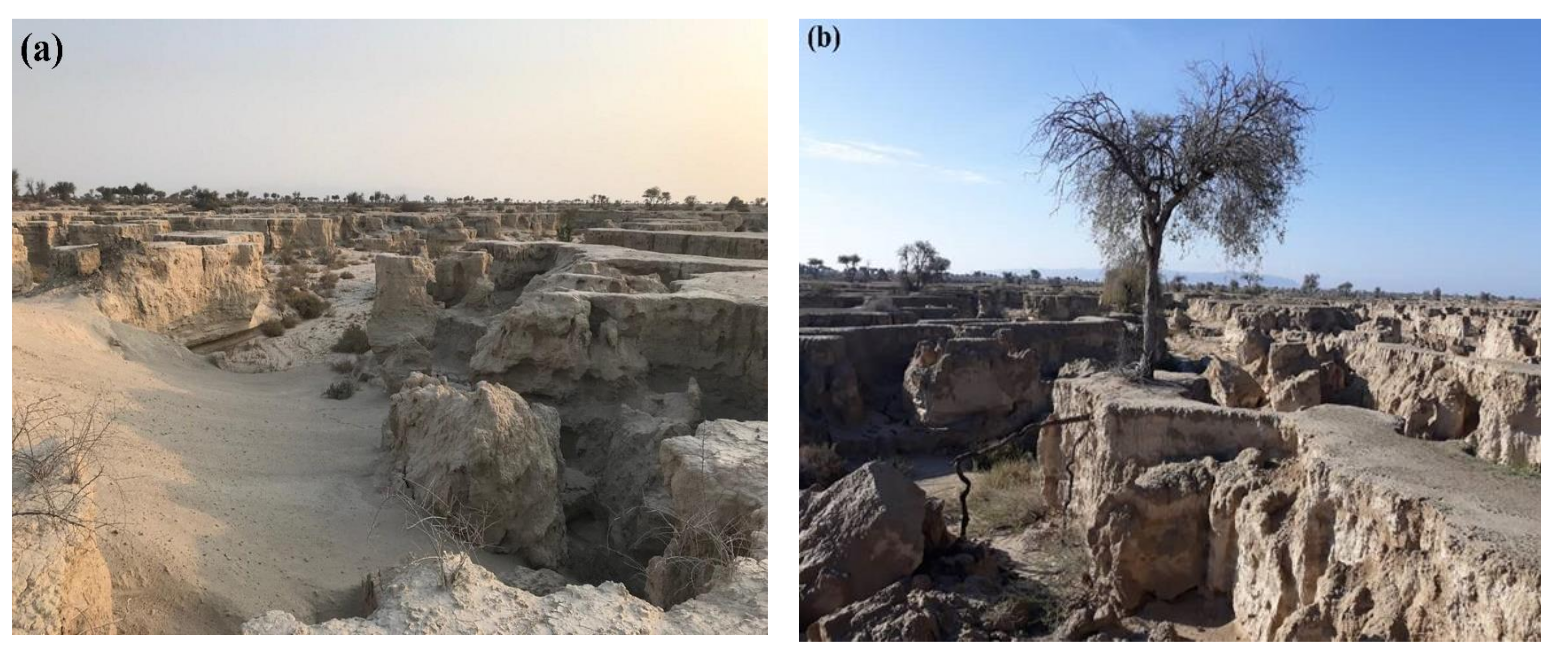 Sustainability 13 10110 g002