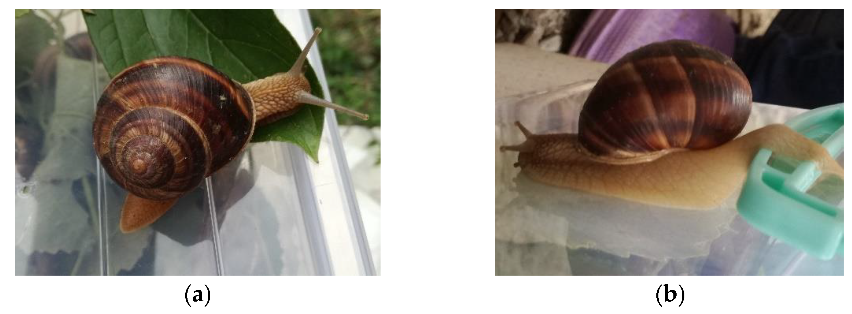 Sustainability 13 10170 g002