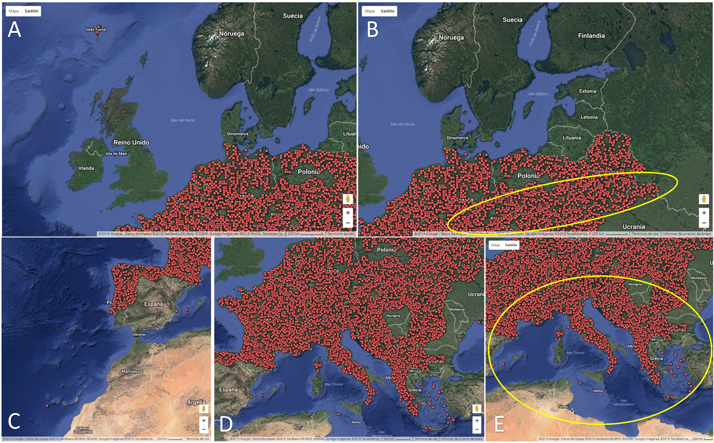 Sustainability 13 10175 g002