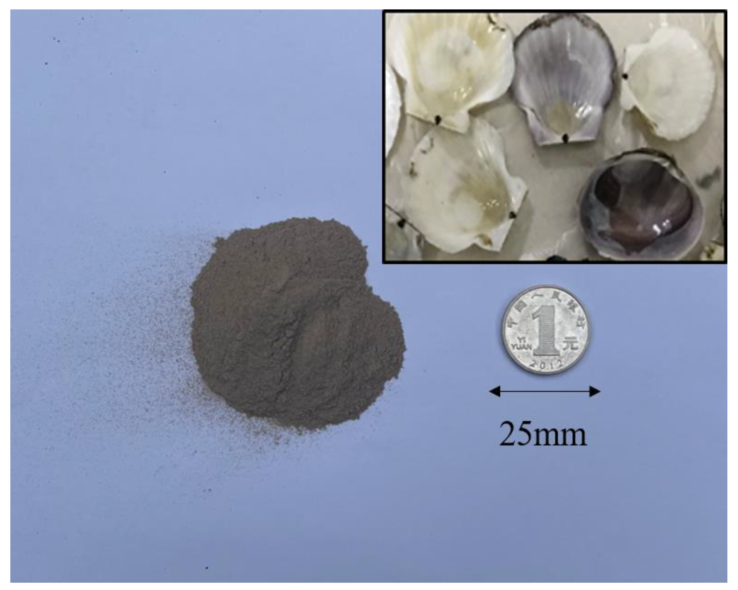 Sustainability 13 10271 g001