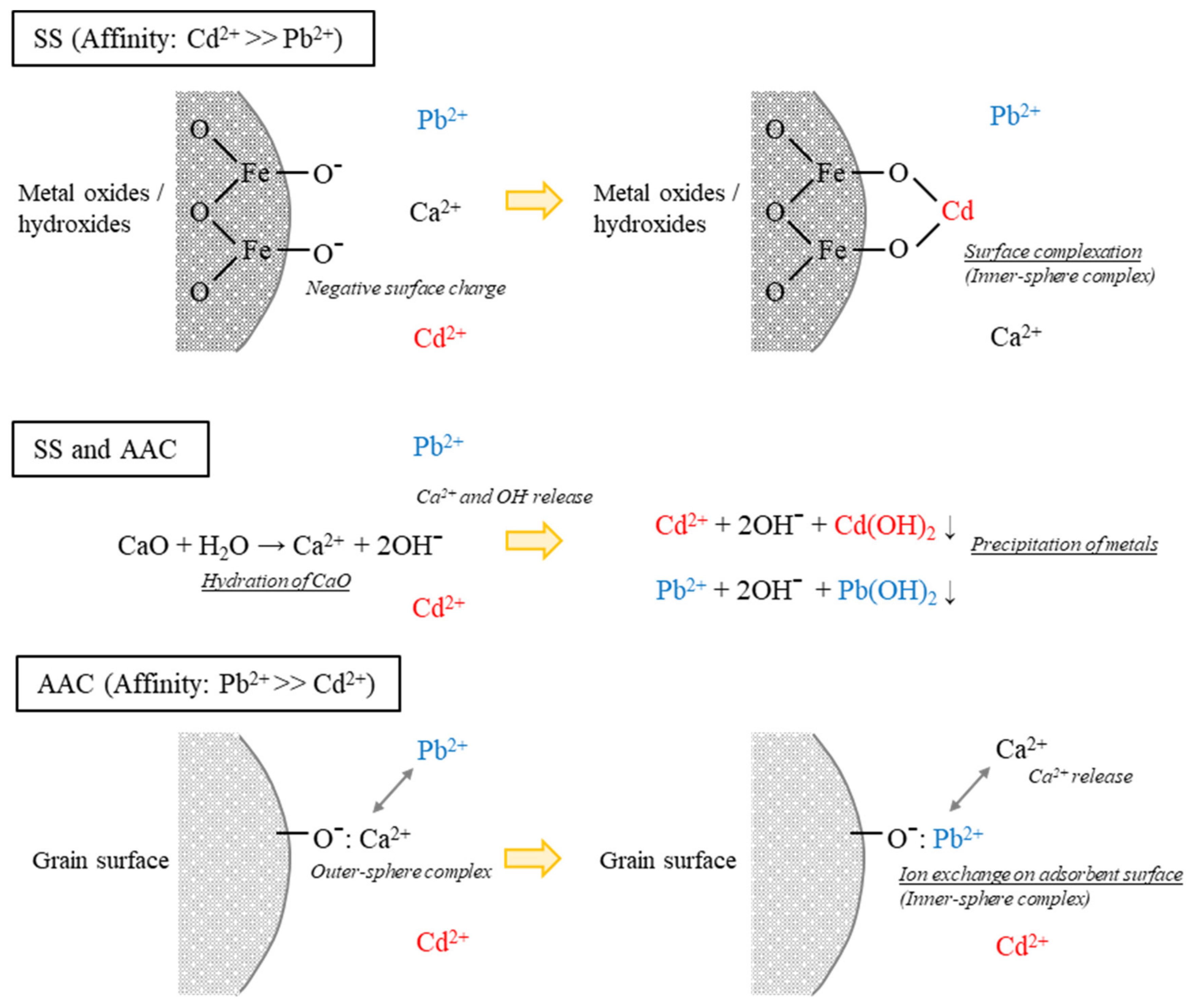 Sustainability 13 10321 g004