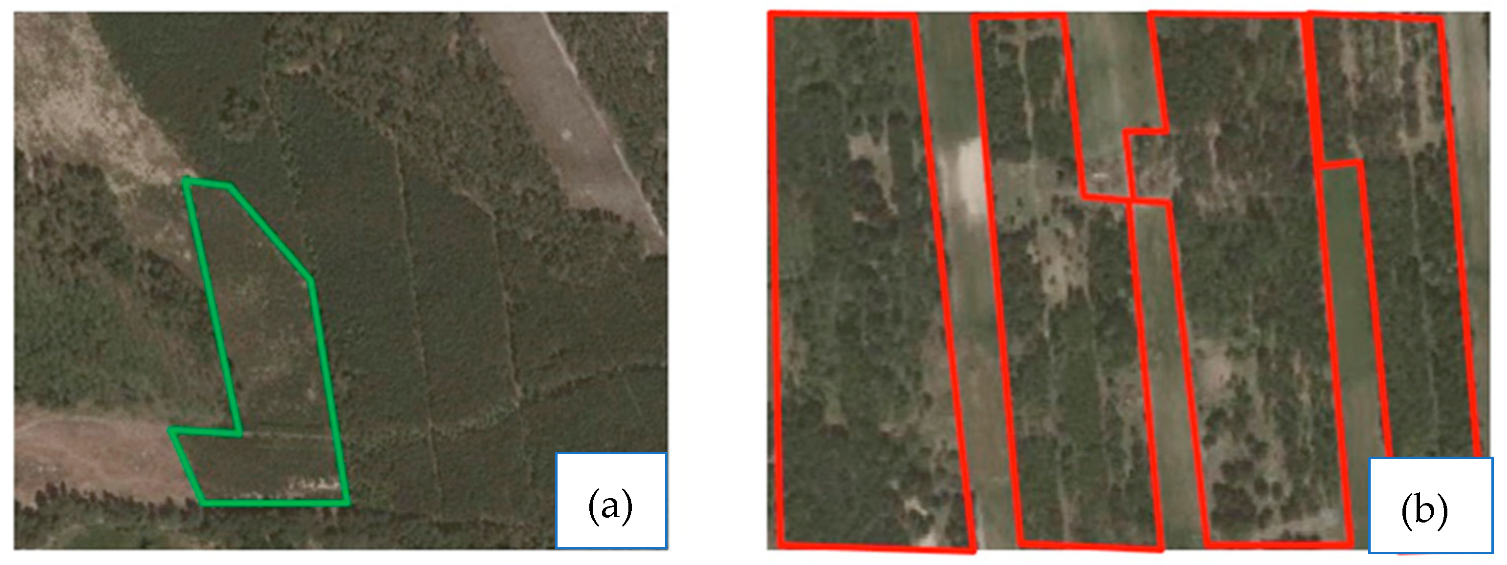 Sustainability 13 10339 g003