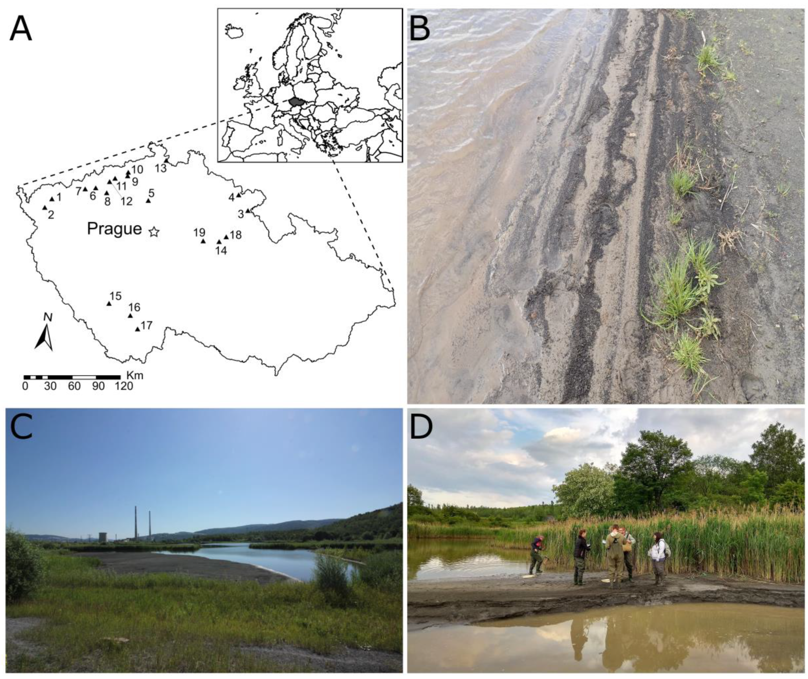 Sustainability 13 10385 g001