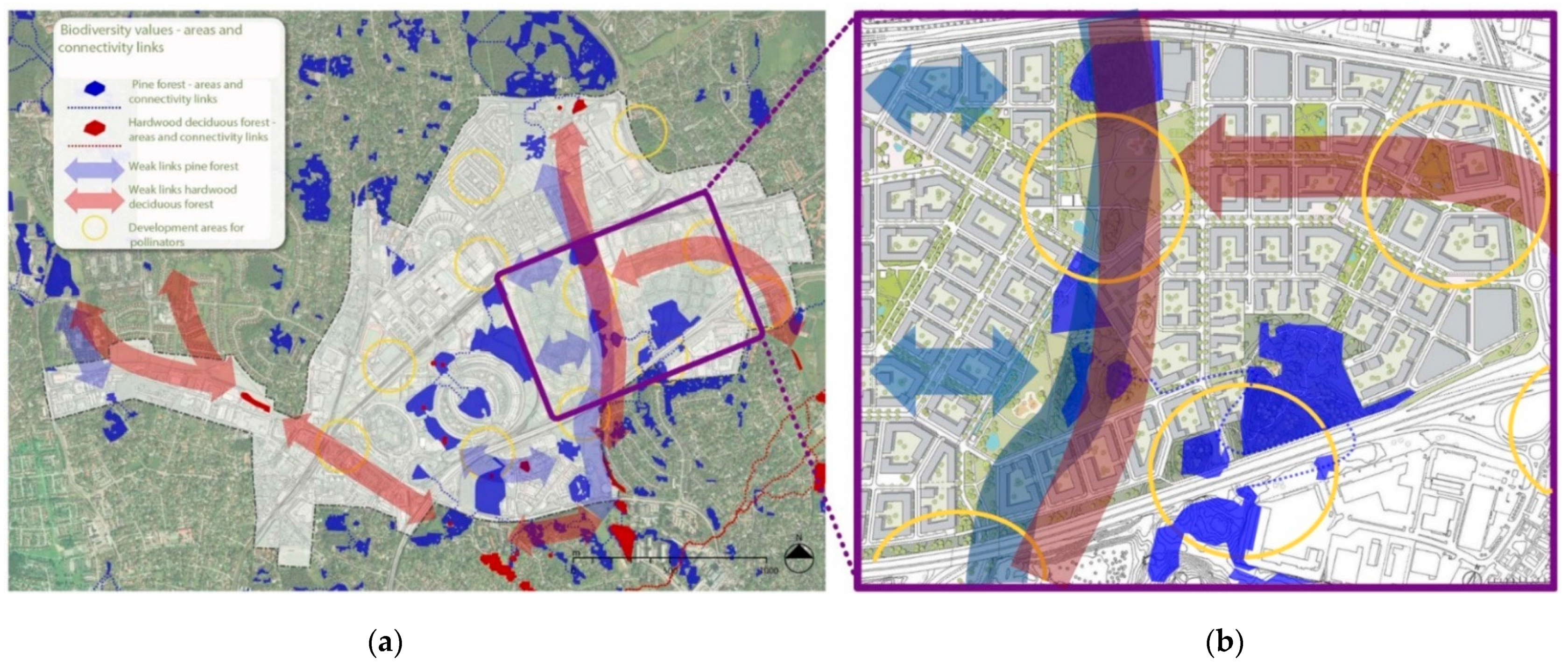Sustainability 13 10389 g005