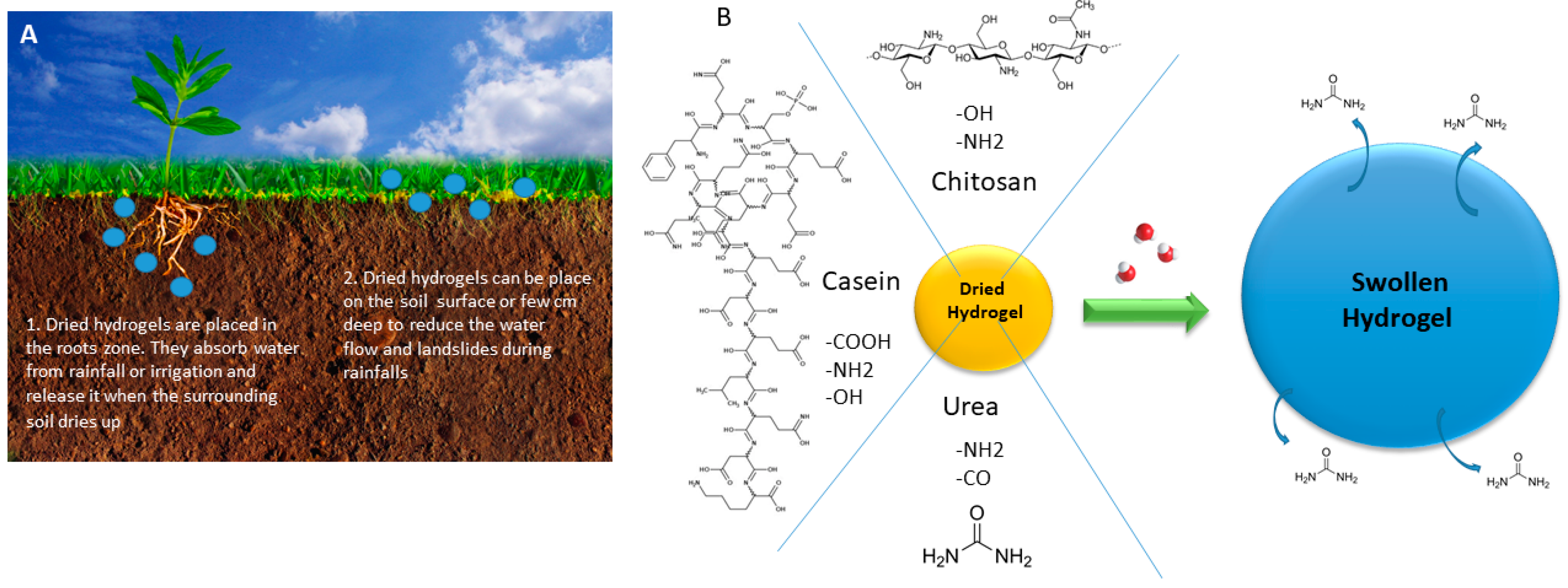 Sustainability 13 10439 g001