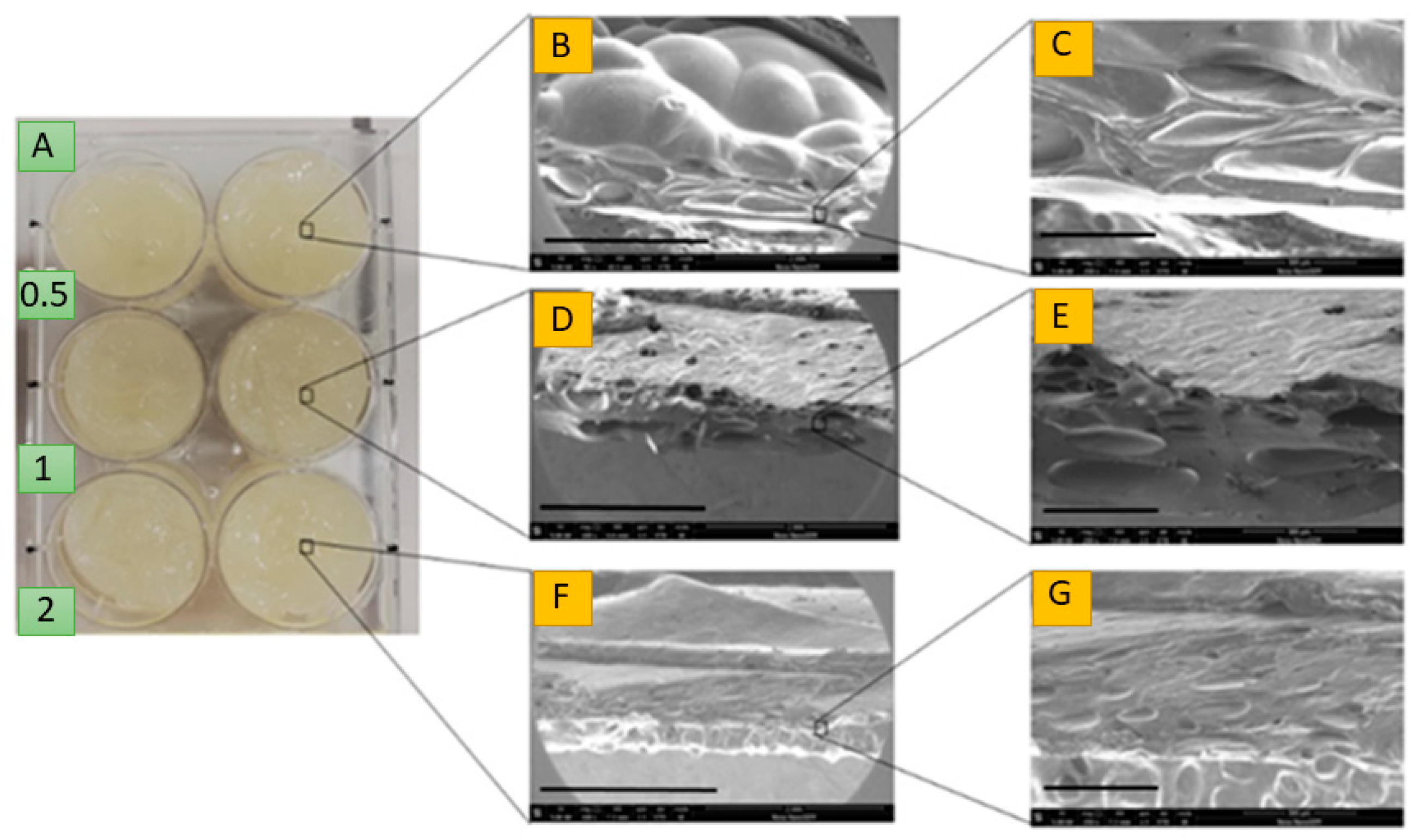 Sustainability 13 10439 g003