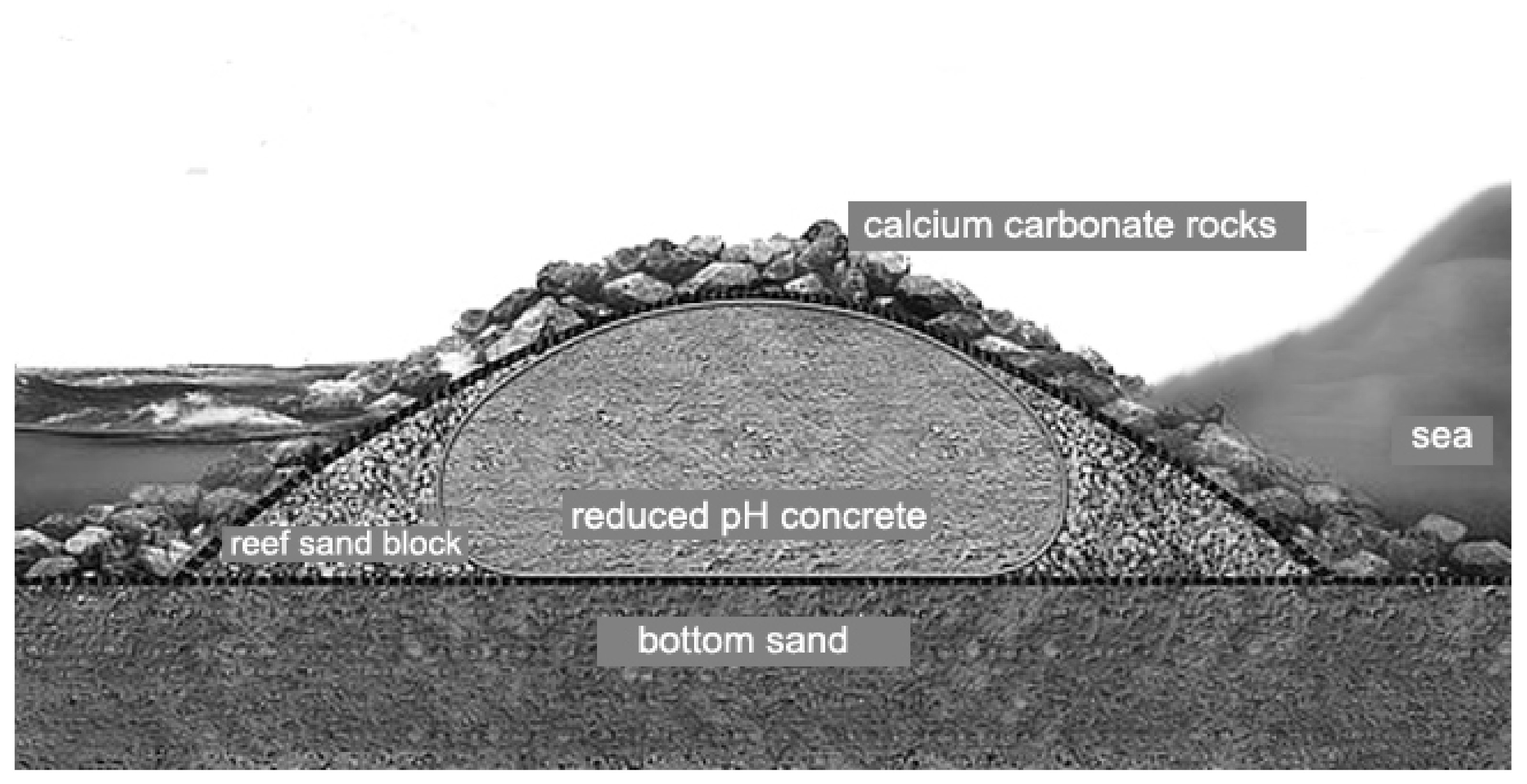 Sustainability 13 10474 g004