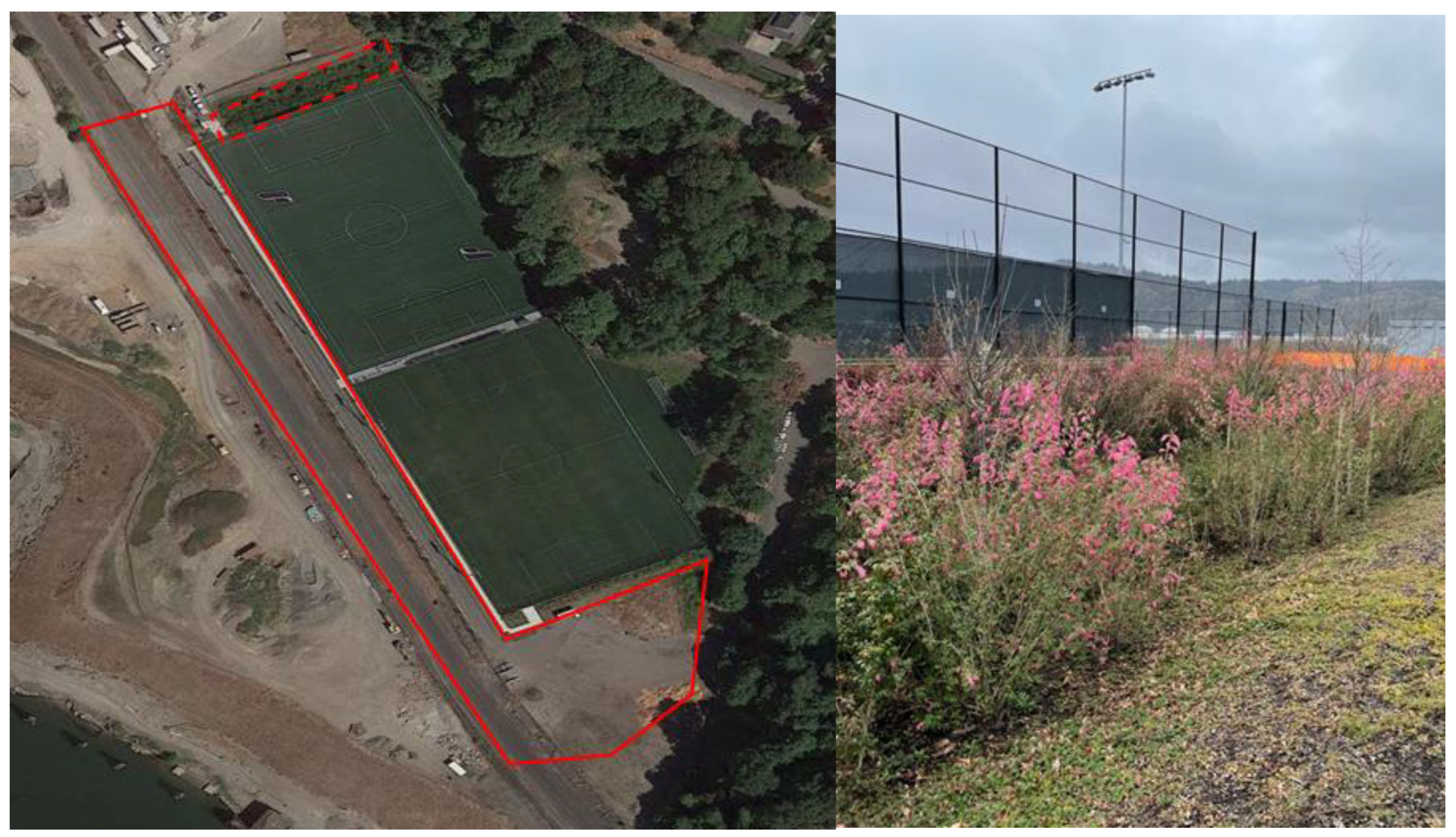 Sustainability 13 10484 g004