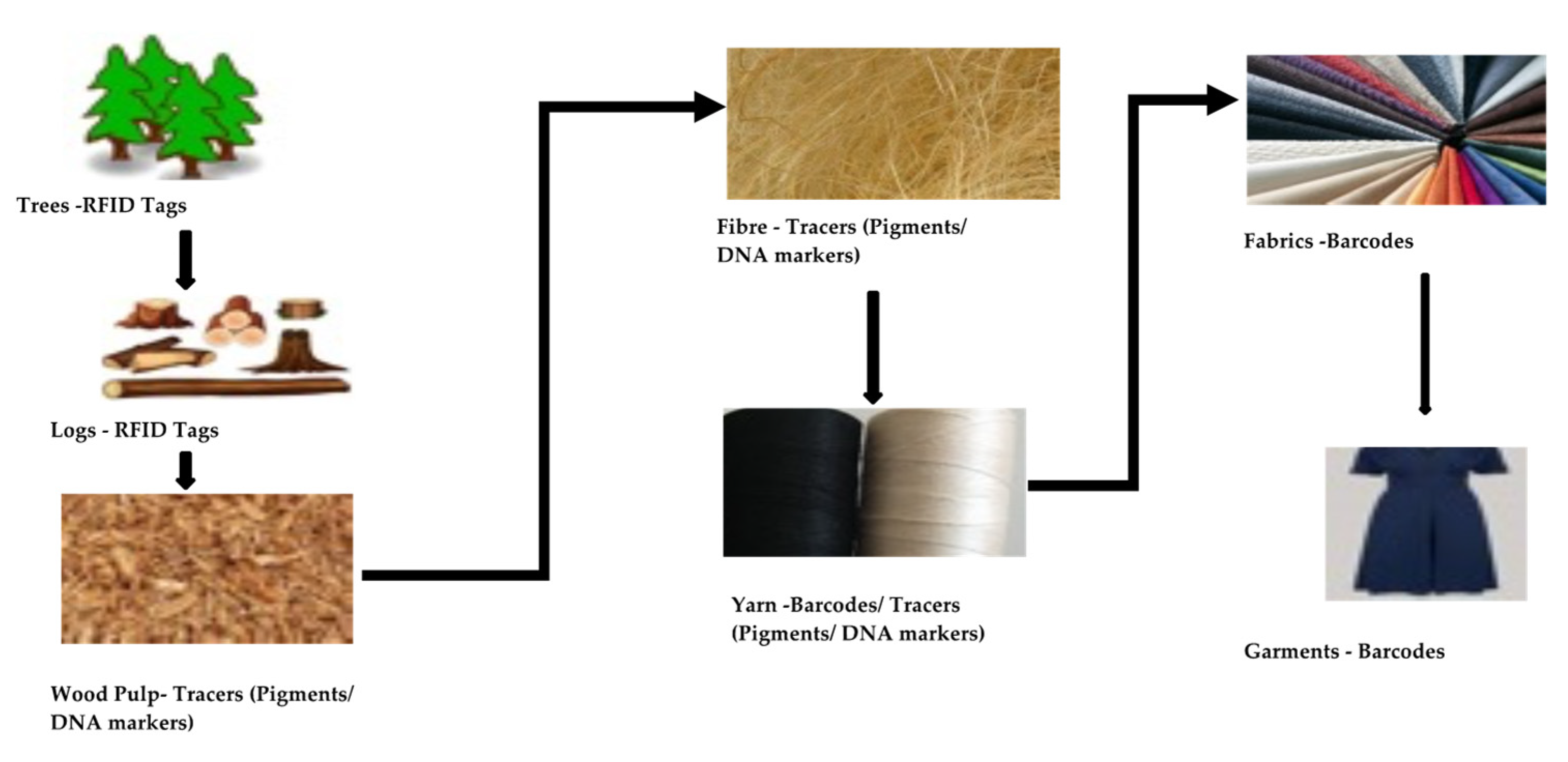 Sustainability 13 10496 g006