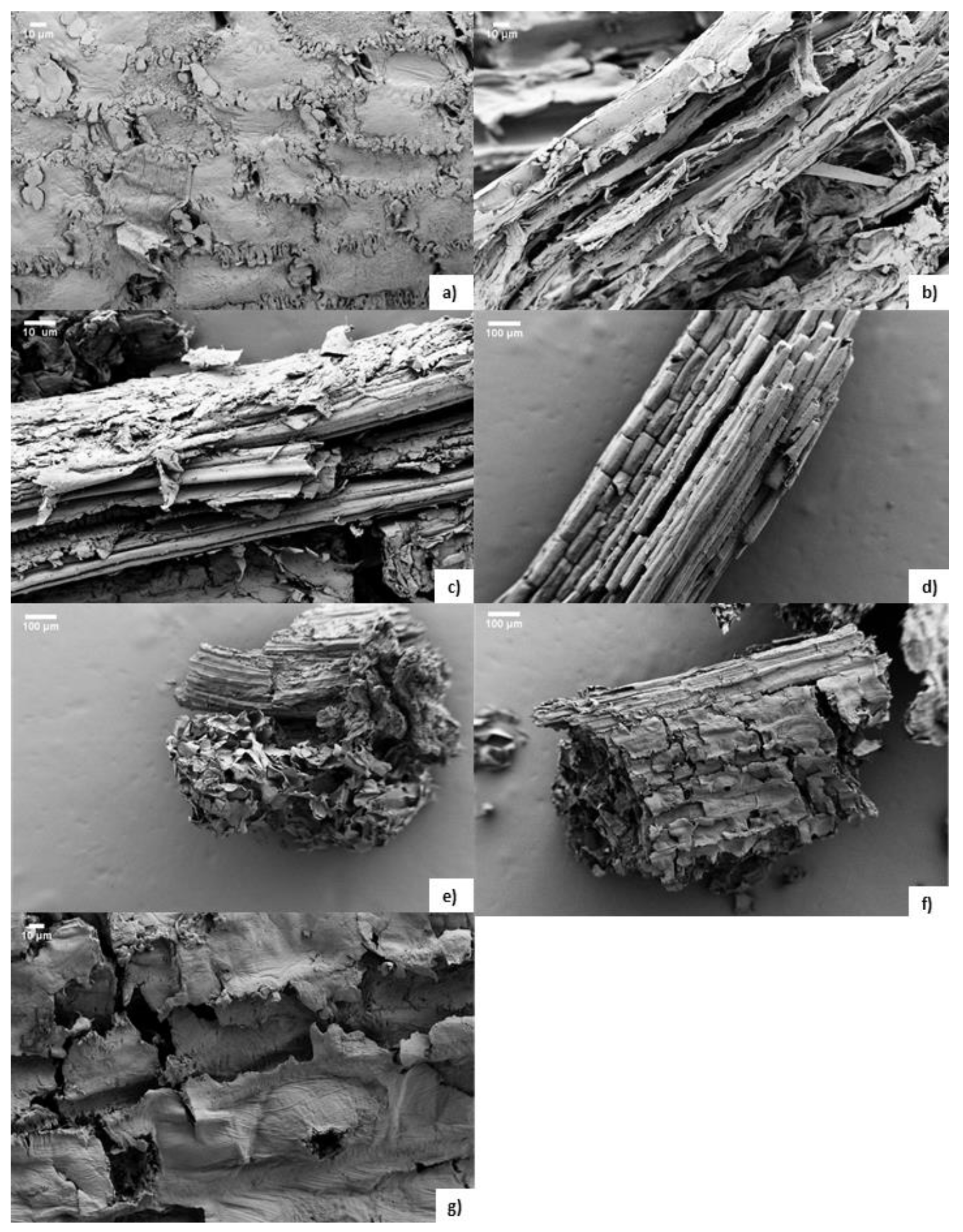 Sustainability 13 10504 g003