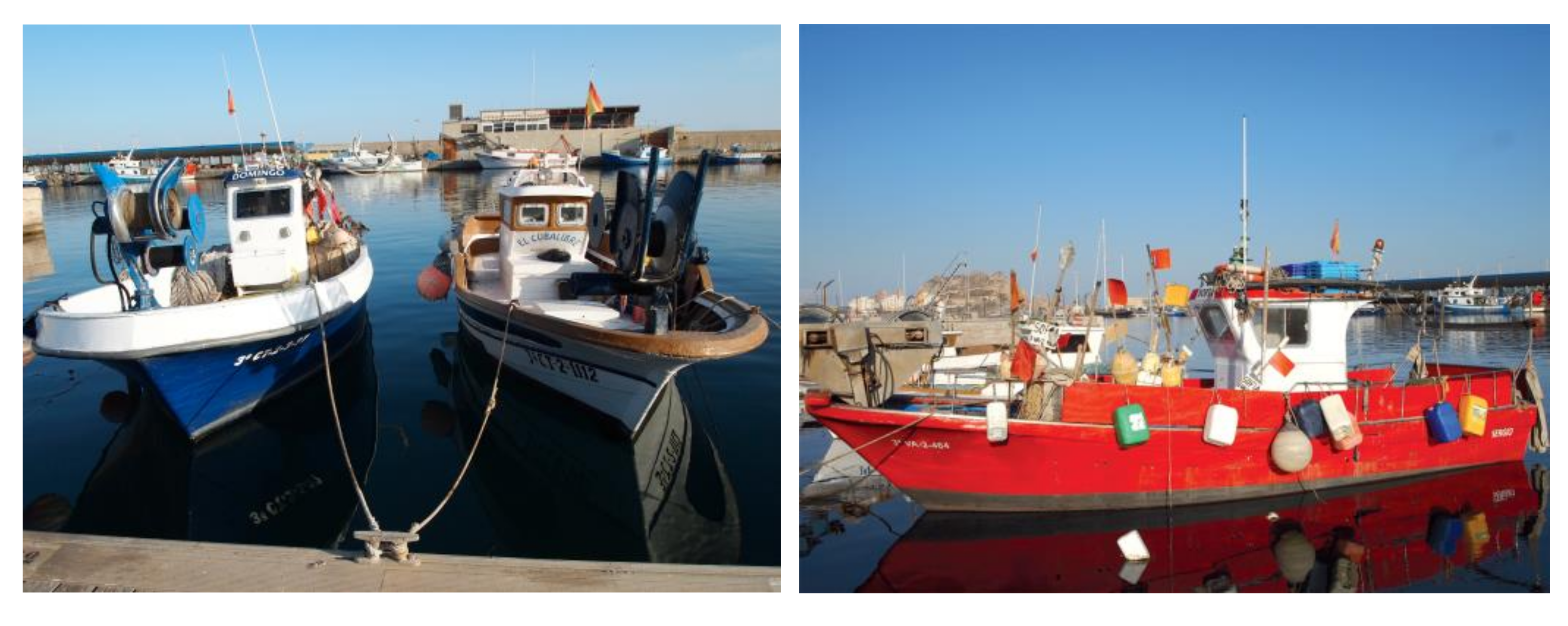 Sustainability 13 10542 g001