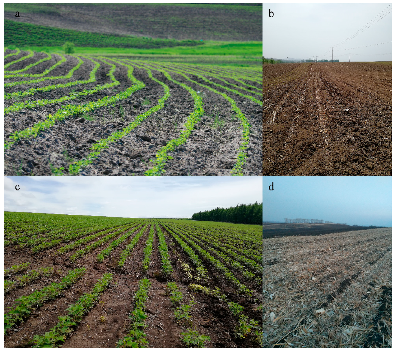 Sustainability 13 10614 g001