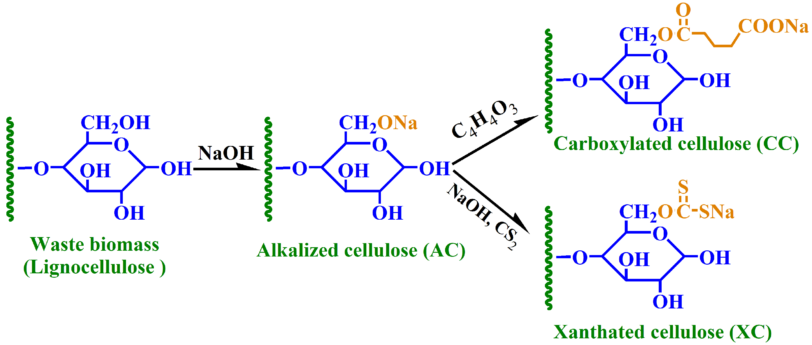 Sustainability 13 10673 g001