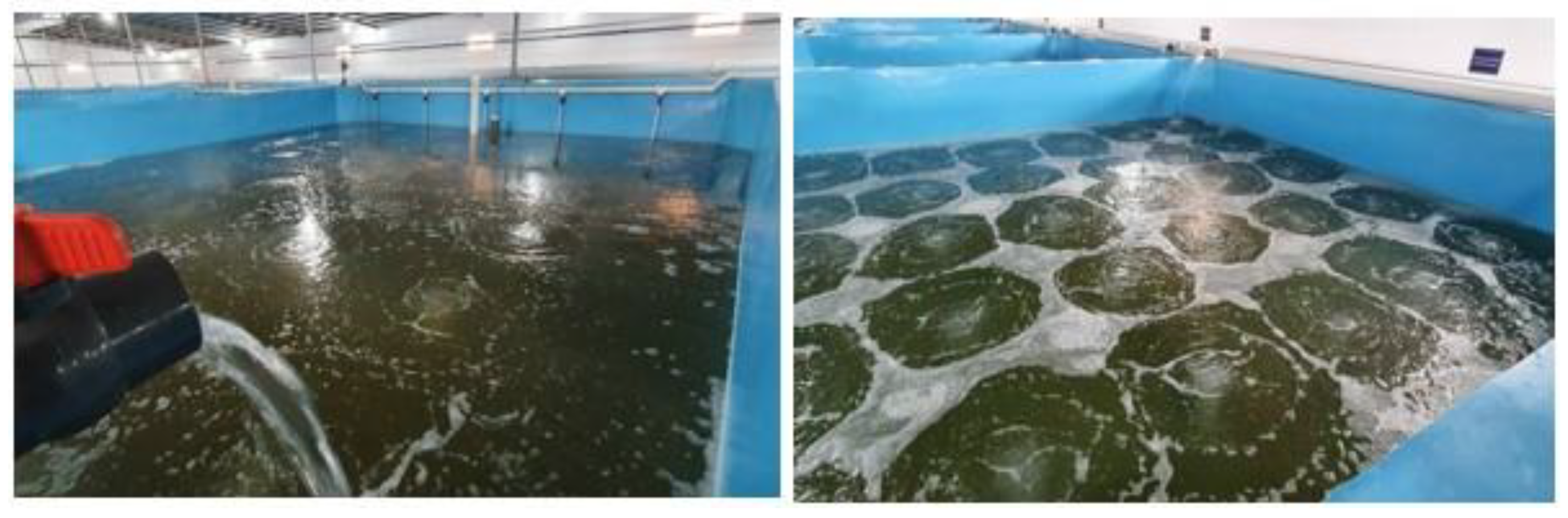 Sustainability 13 10685 g004