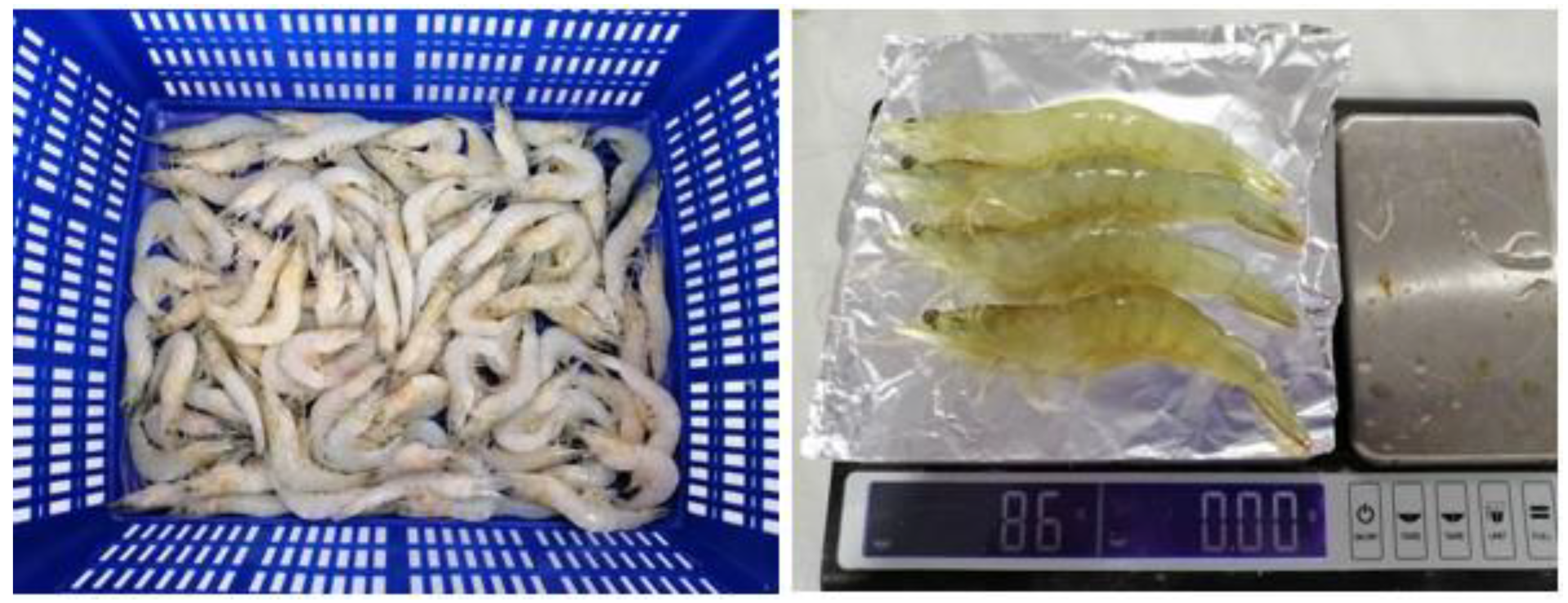 Sustainability 13 10685 g008