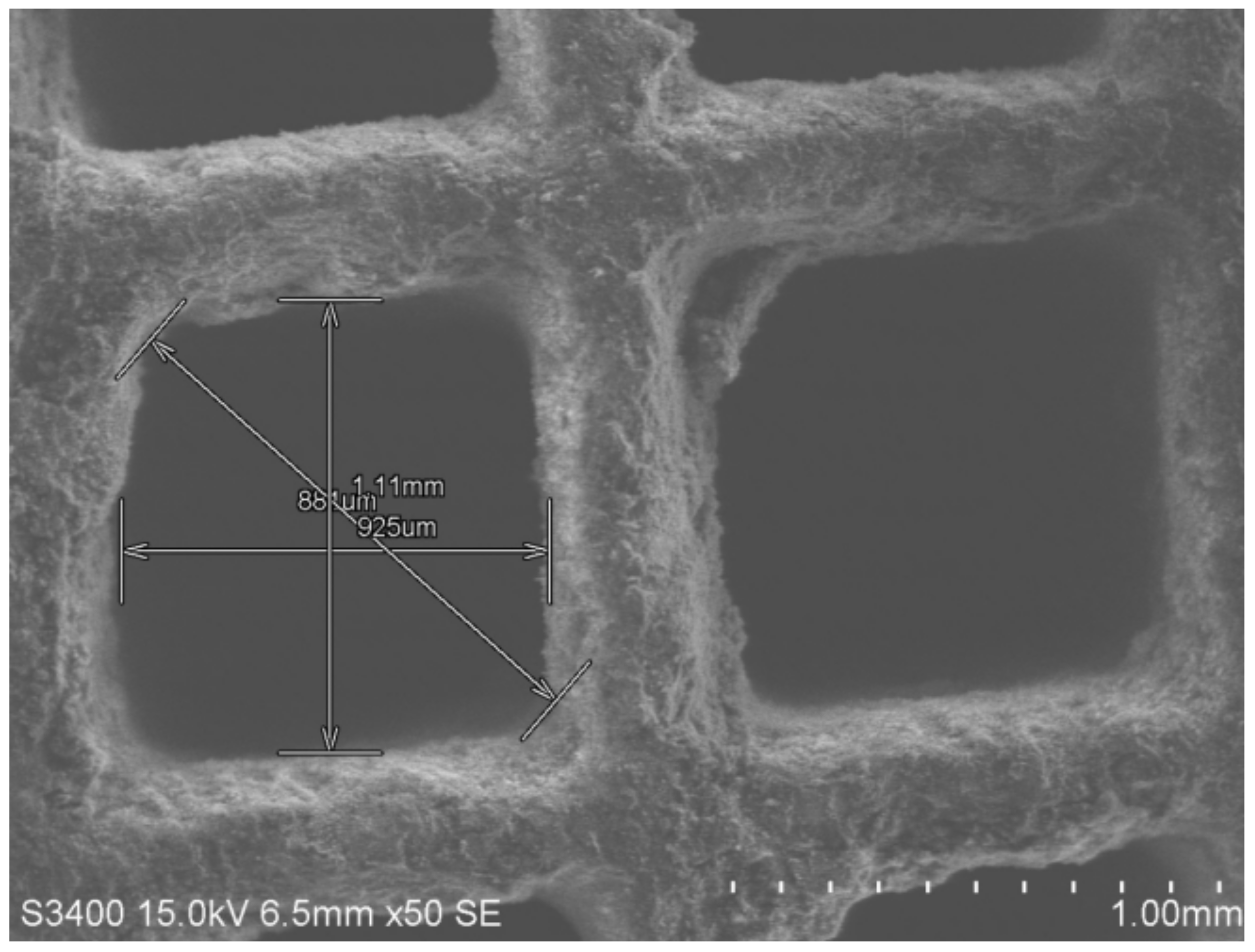 Sustainability 13 10729 g004