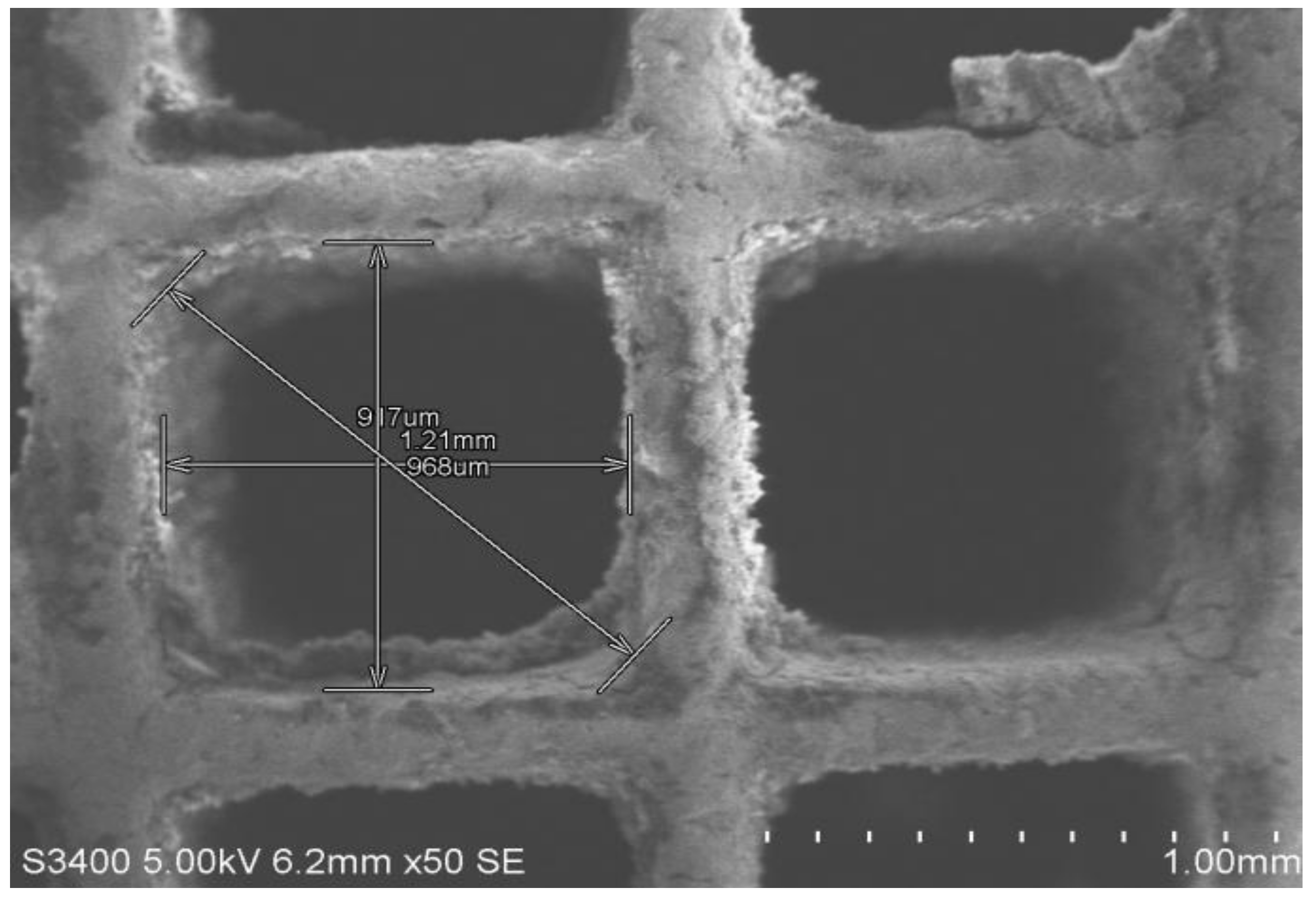 Sustainability 13 10729 g005