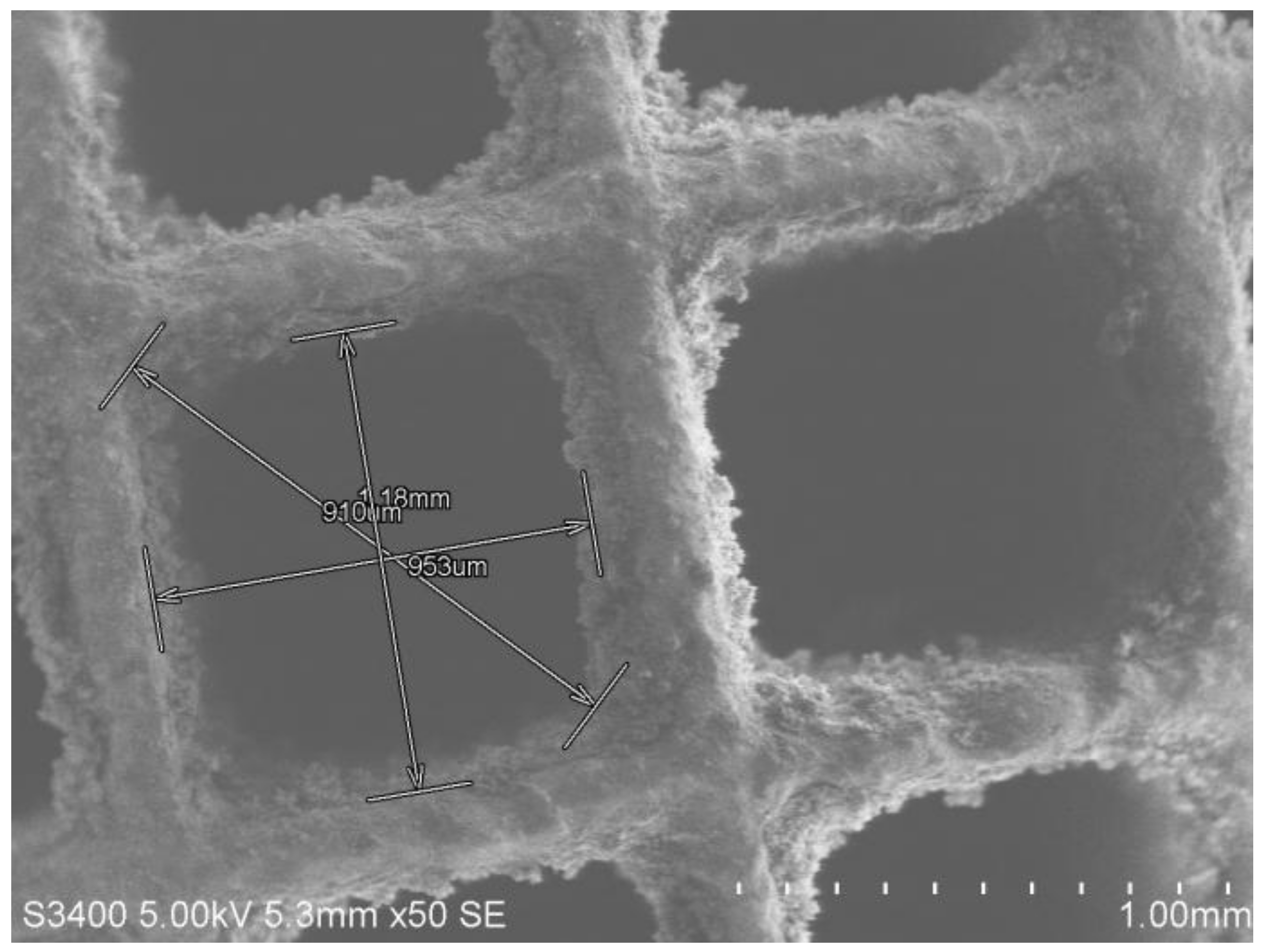 Sustainability 13 10729 g007