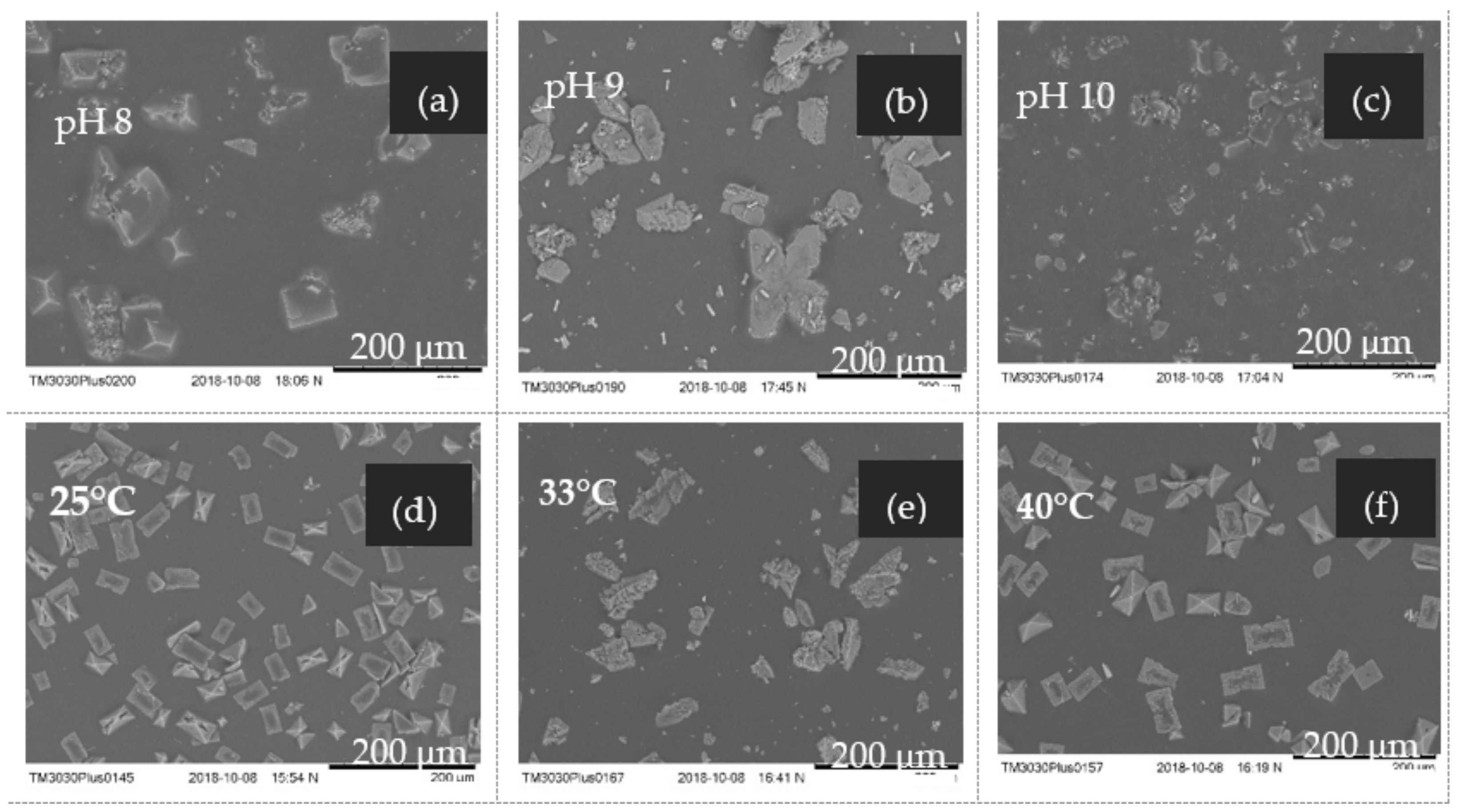 Sustainability 13 10730 g006