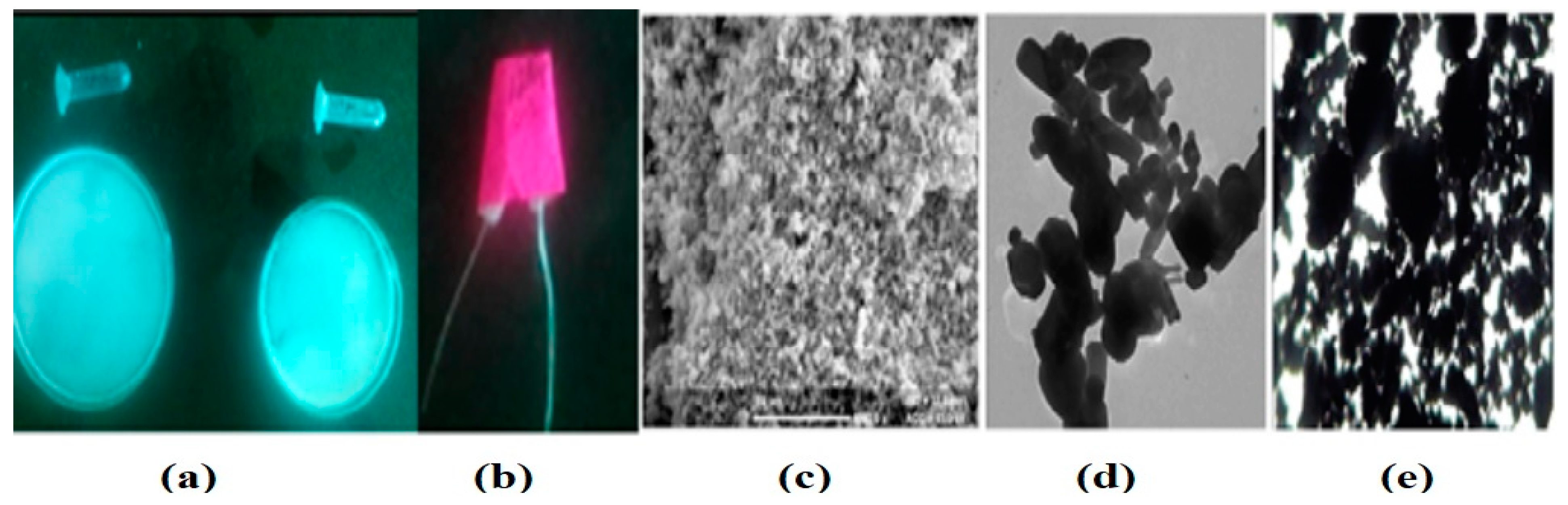 Sustainability 13 10736 g001