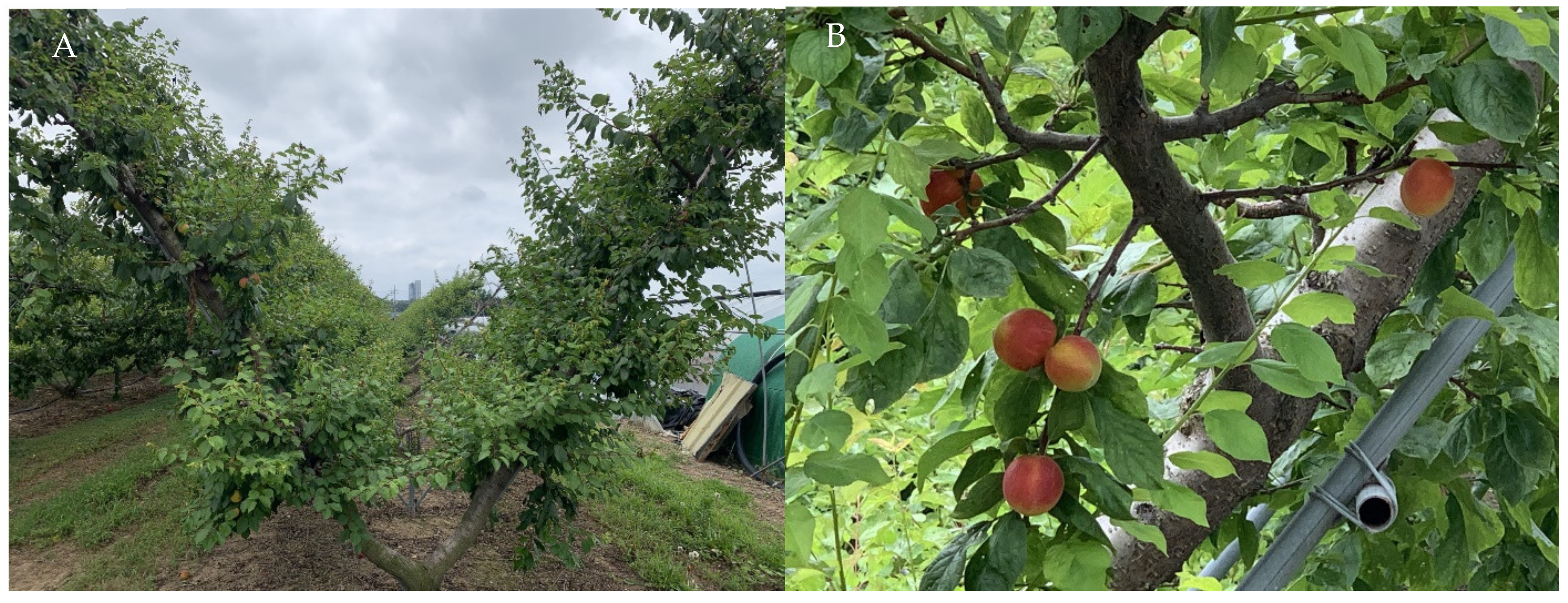 Sustainability 13 10737 g001 Sustainability 13 10737 g001