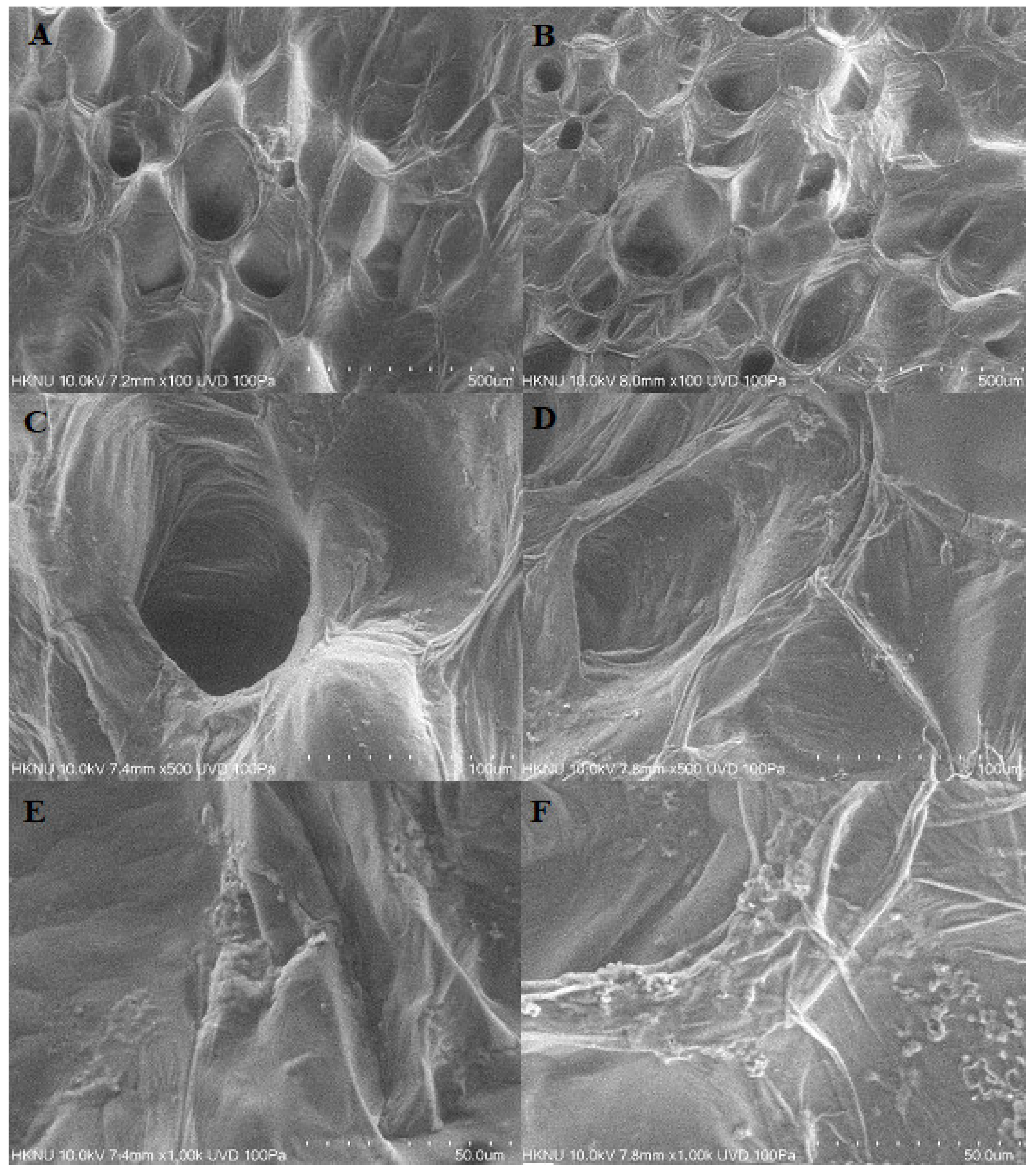 Sustainability 13 10737 g002 Sustainability 13 10737 g002