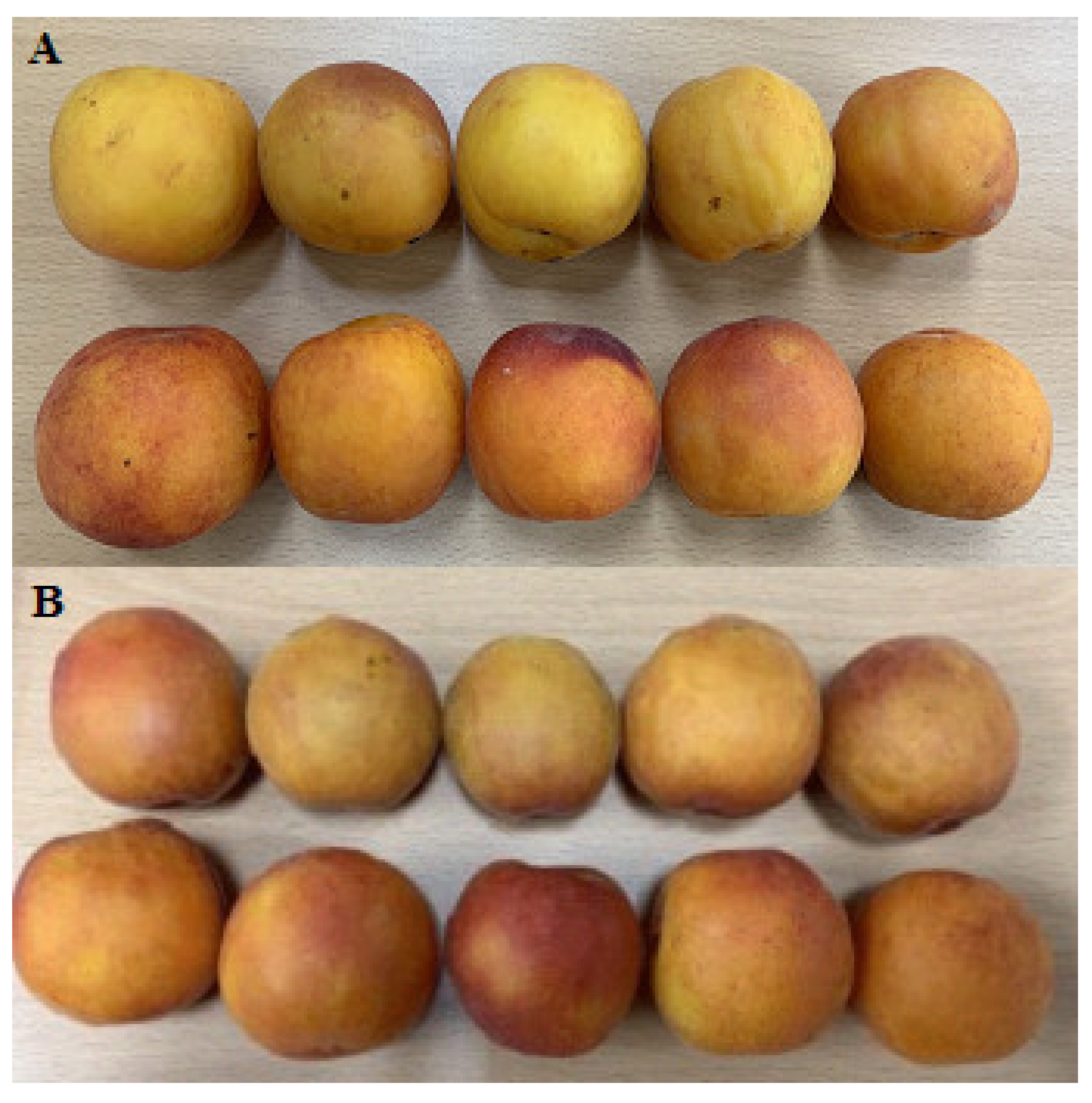 Sustainability 13 10737 g008 Sustainability 13 10737 g008