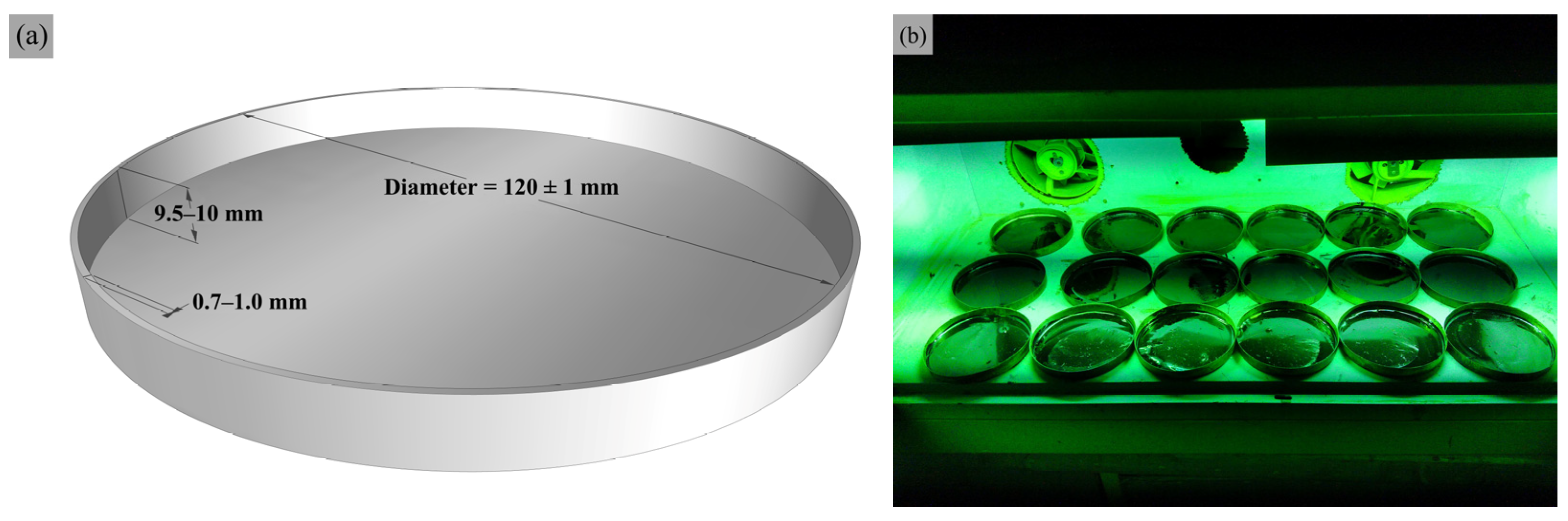 Sustainability 13 10753 g003