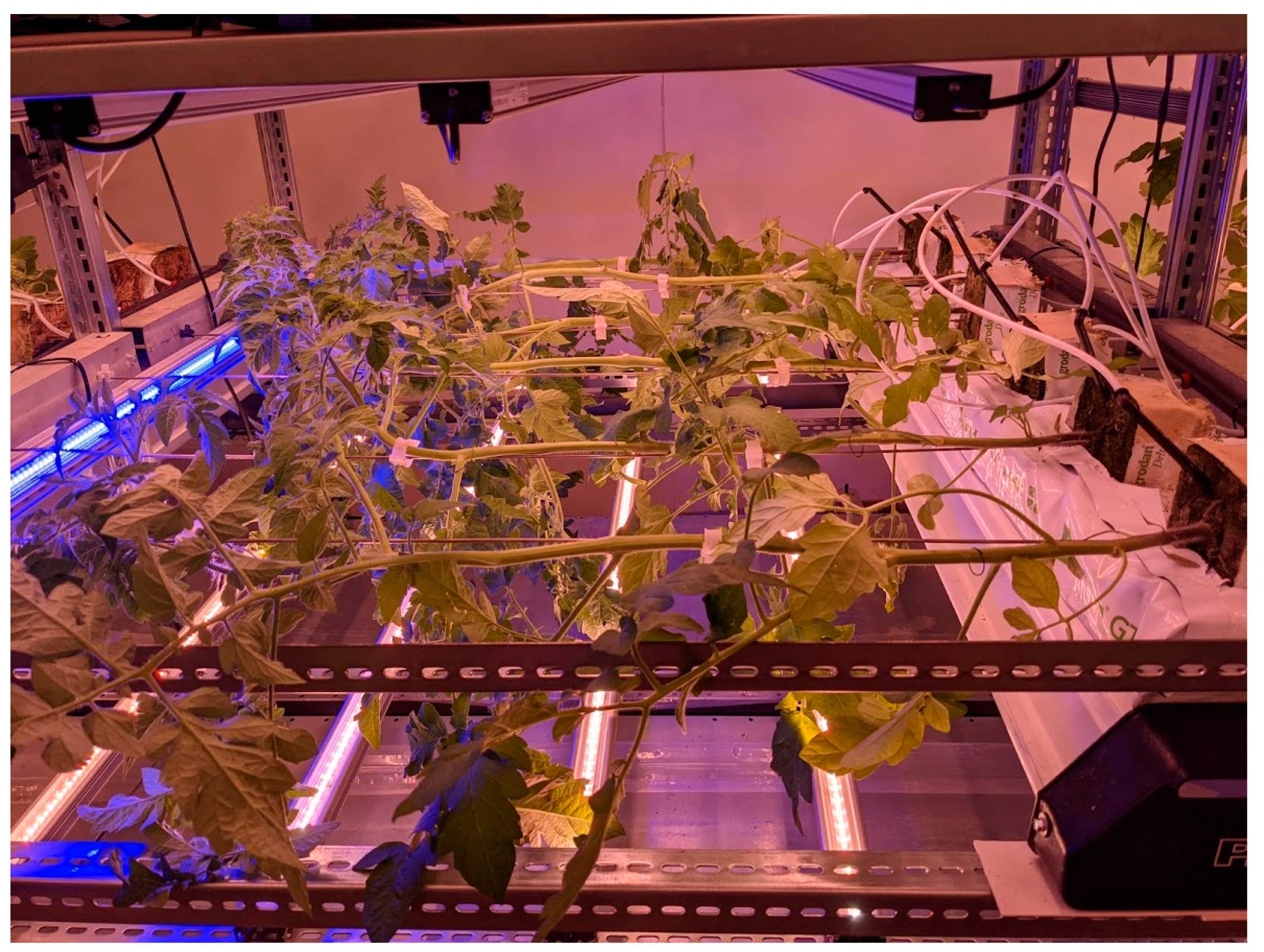 Sustainability 13 10772 g006