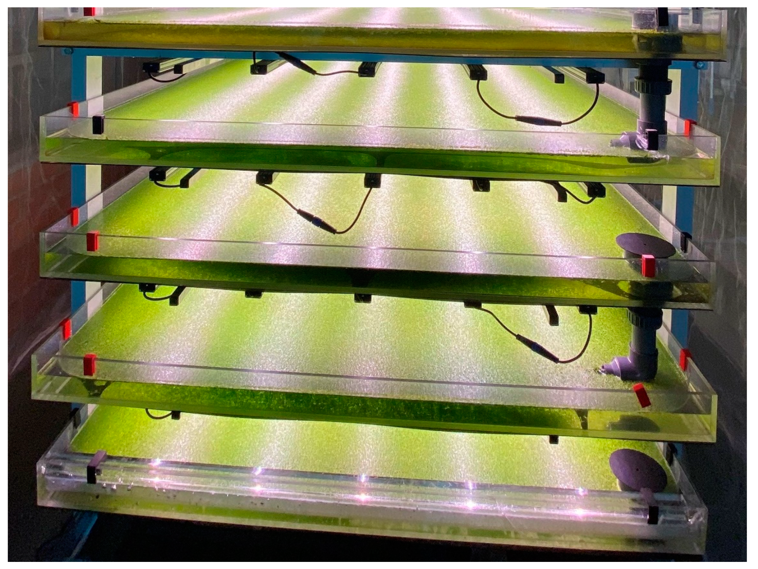 Sustainability 13 10772 g007