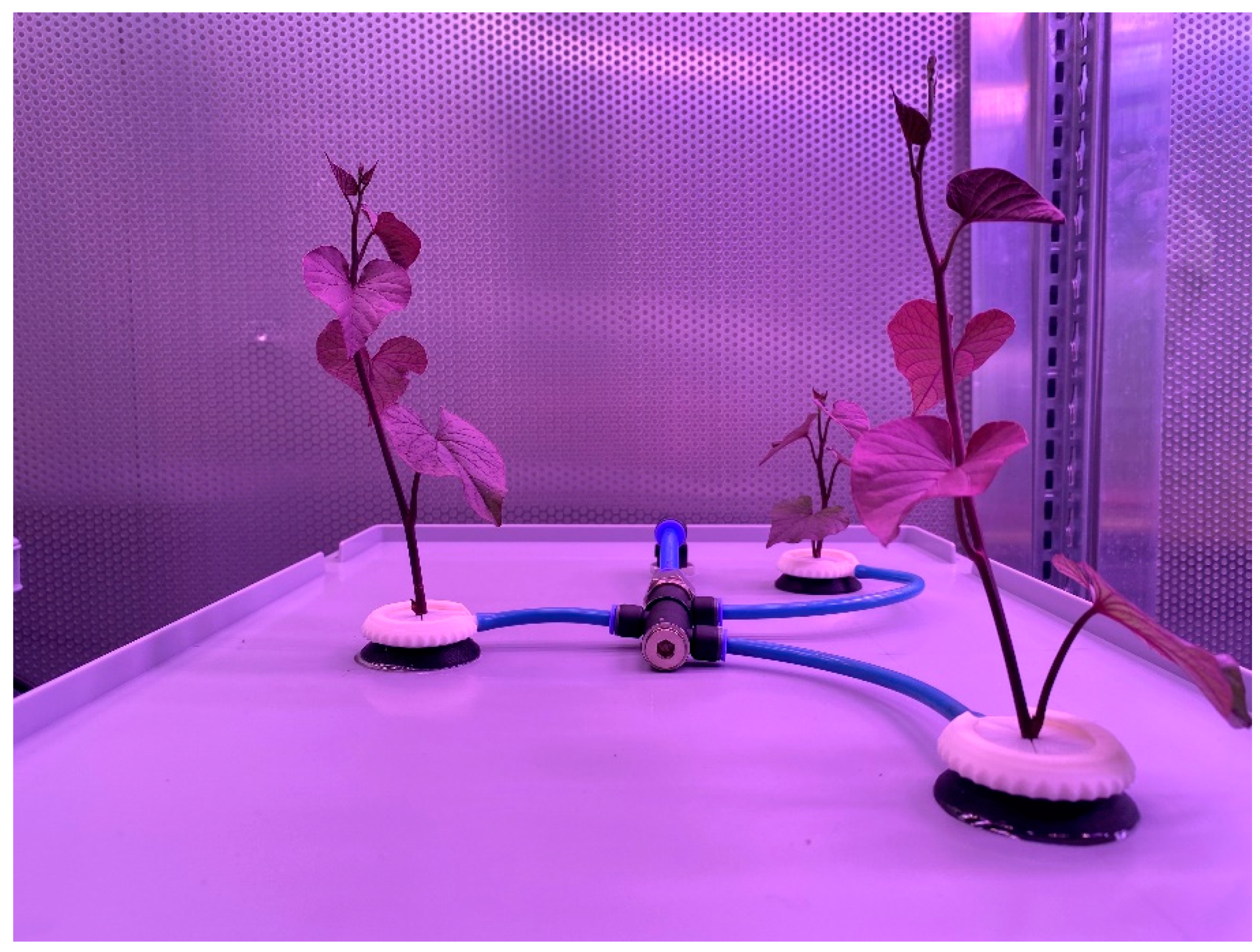 Sustainability 13 10772 g008