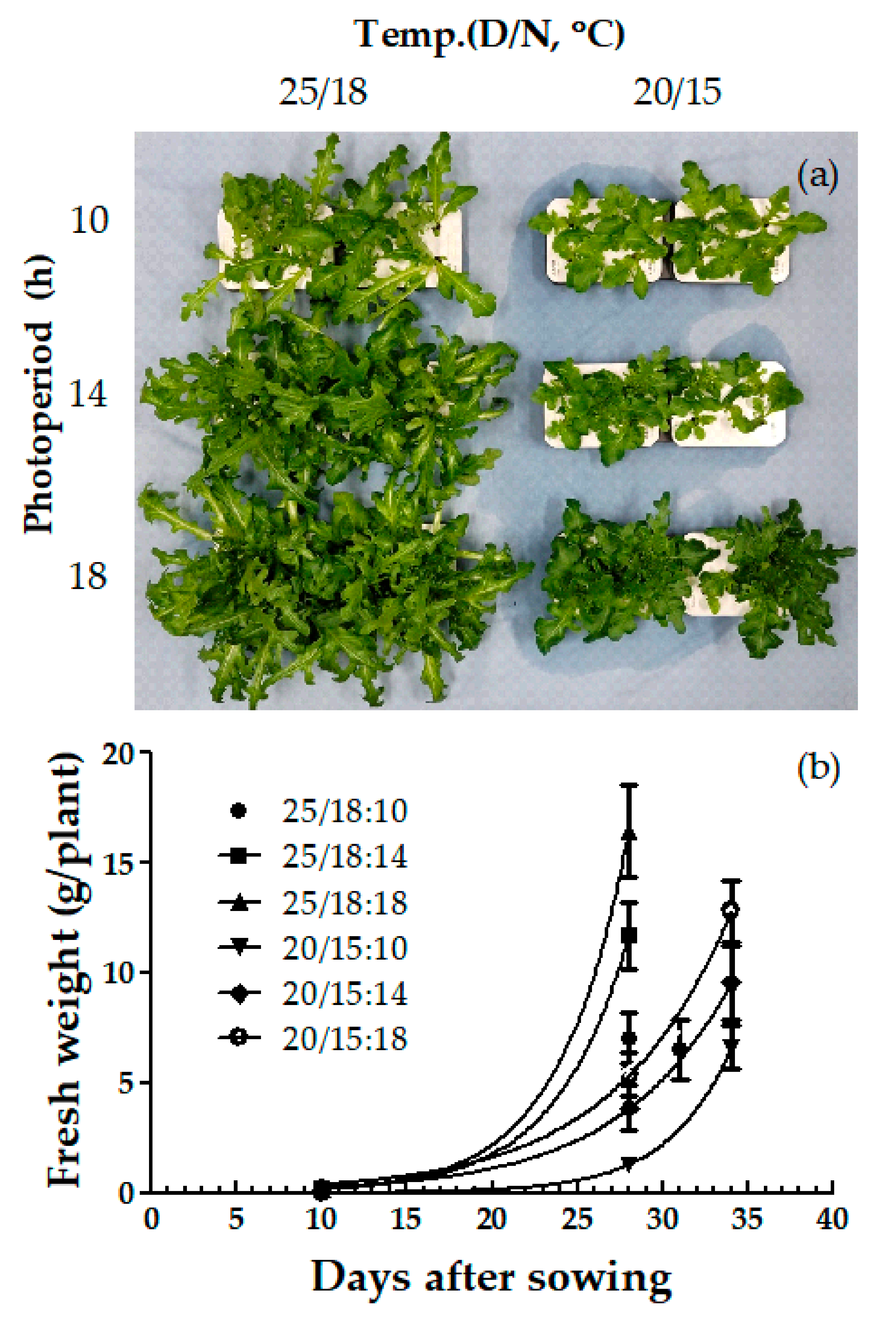 Sustainability 13 10879 g007