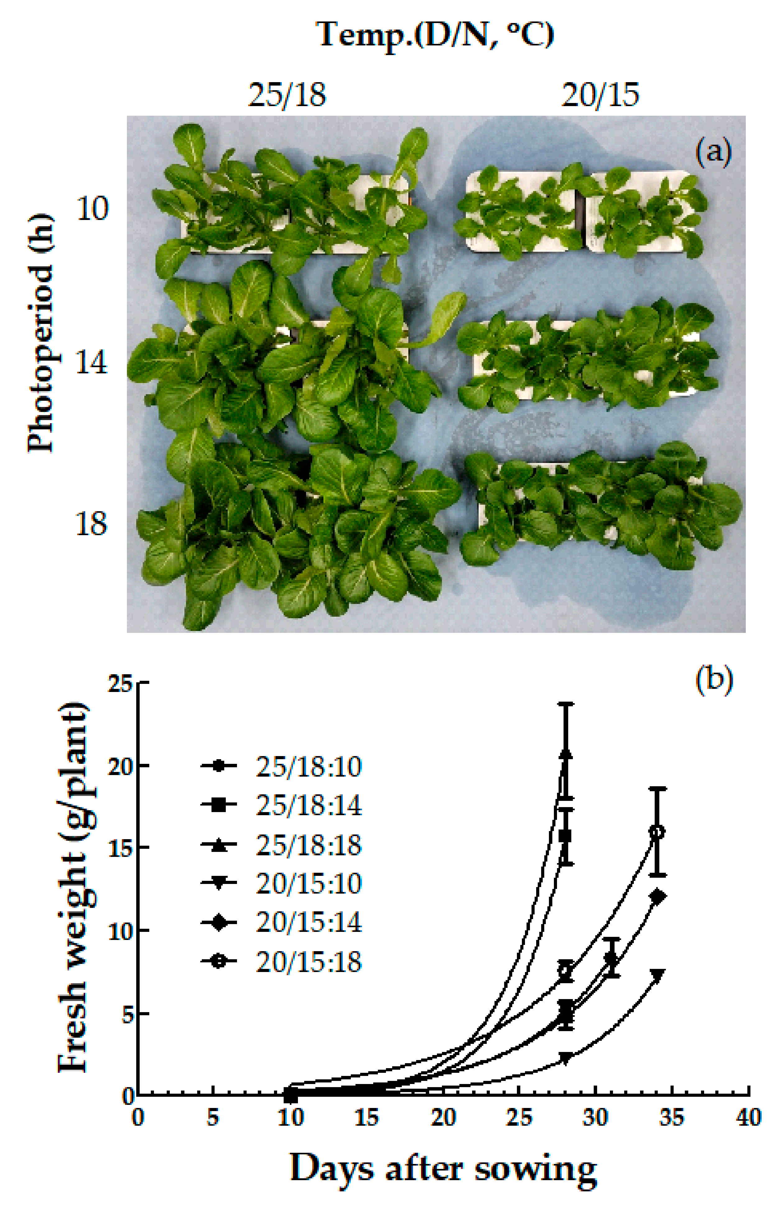 Sustainability 13 10879 g008