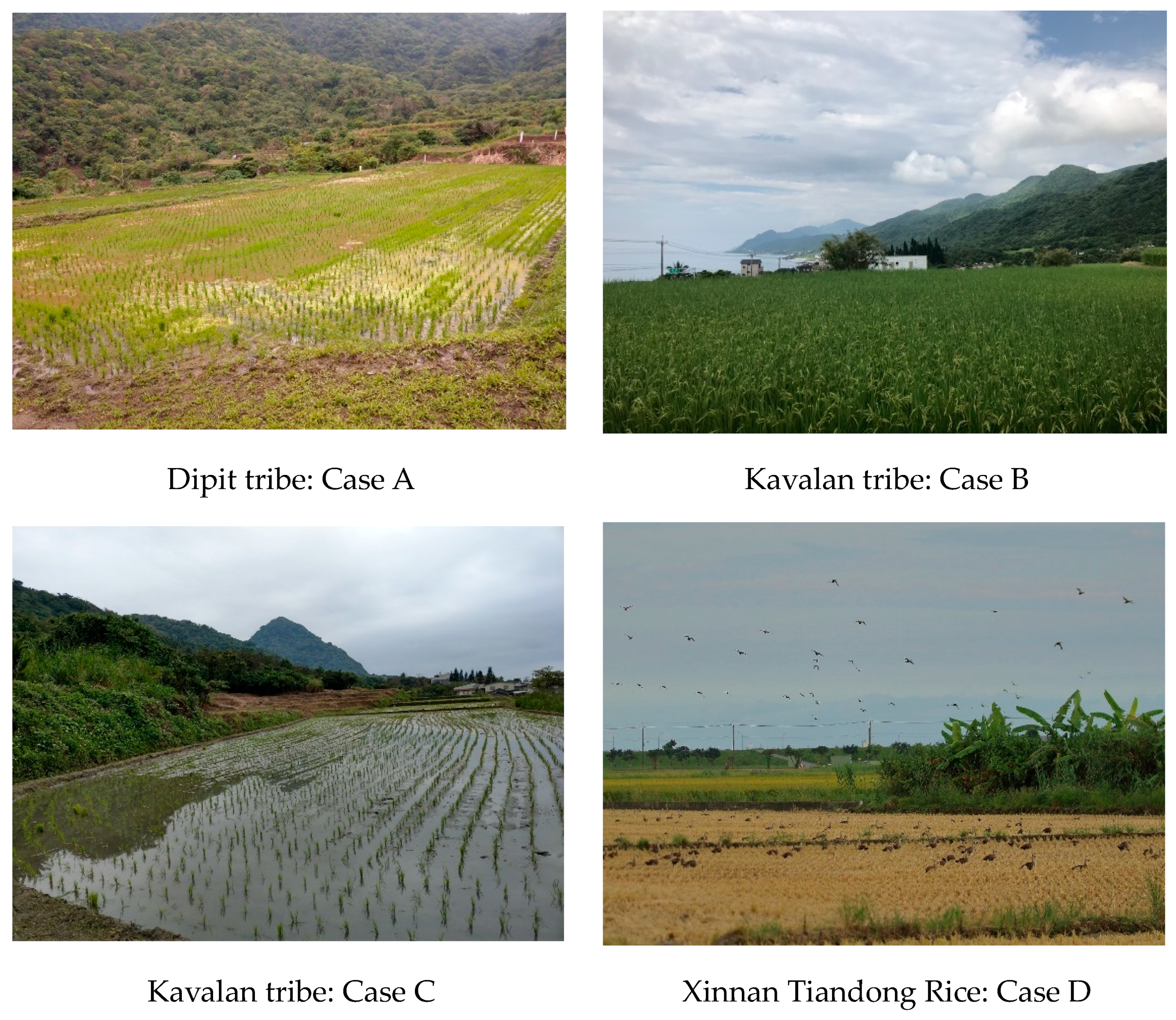 Sustainability 13 10889 g003