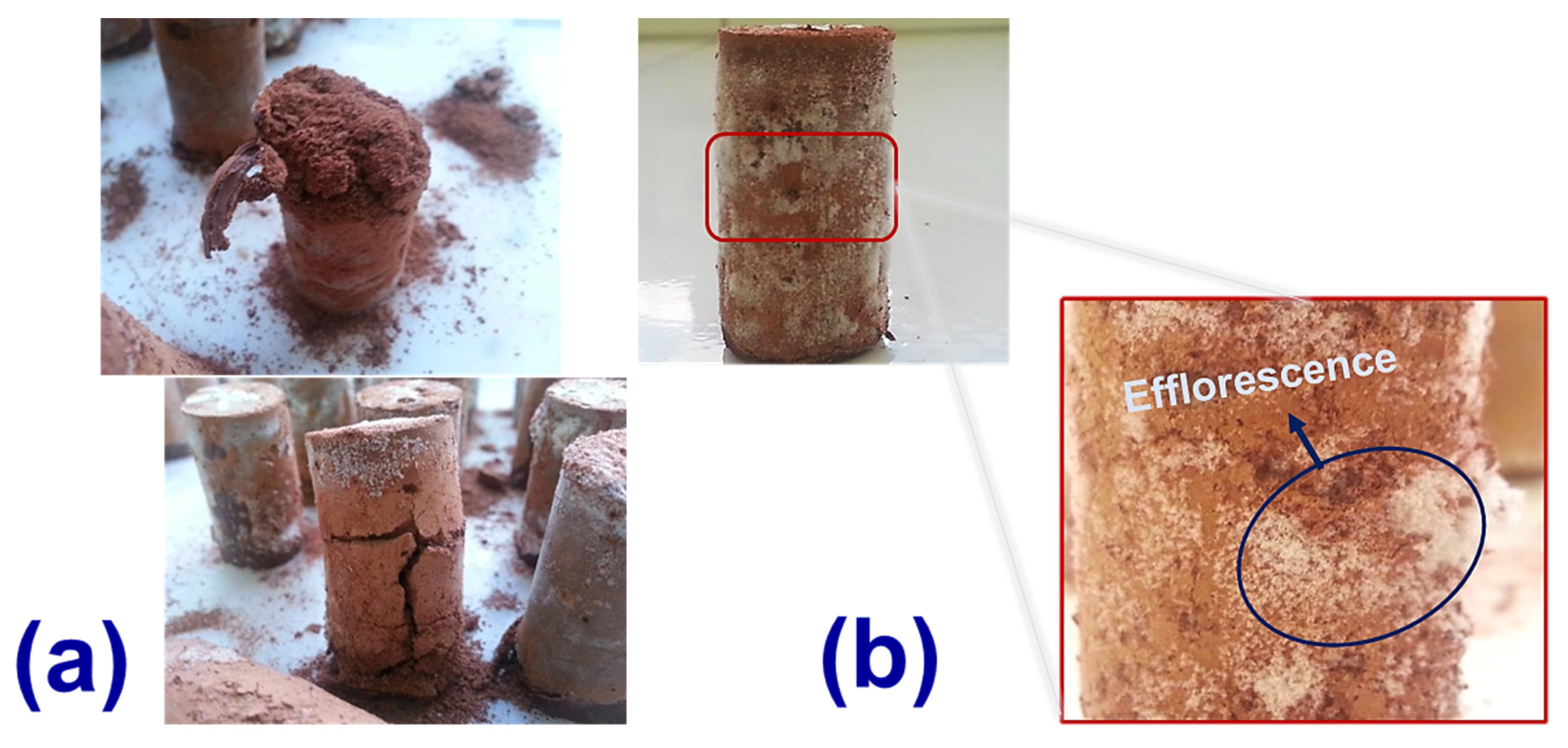 Sustainability 13 10931 g005