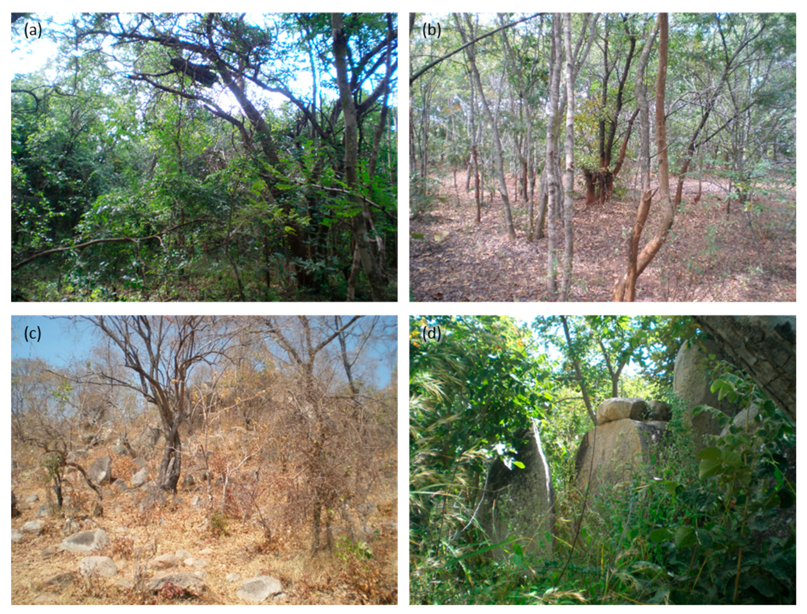 Sustainability 13 10939 g003