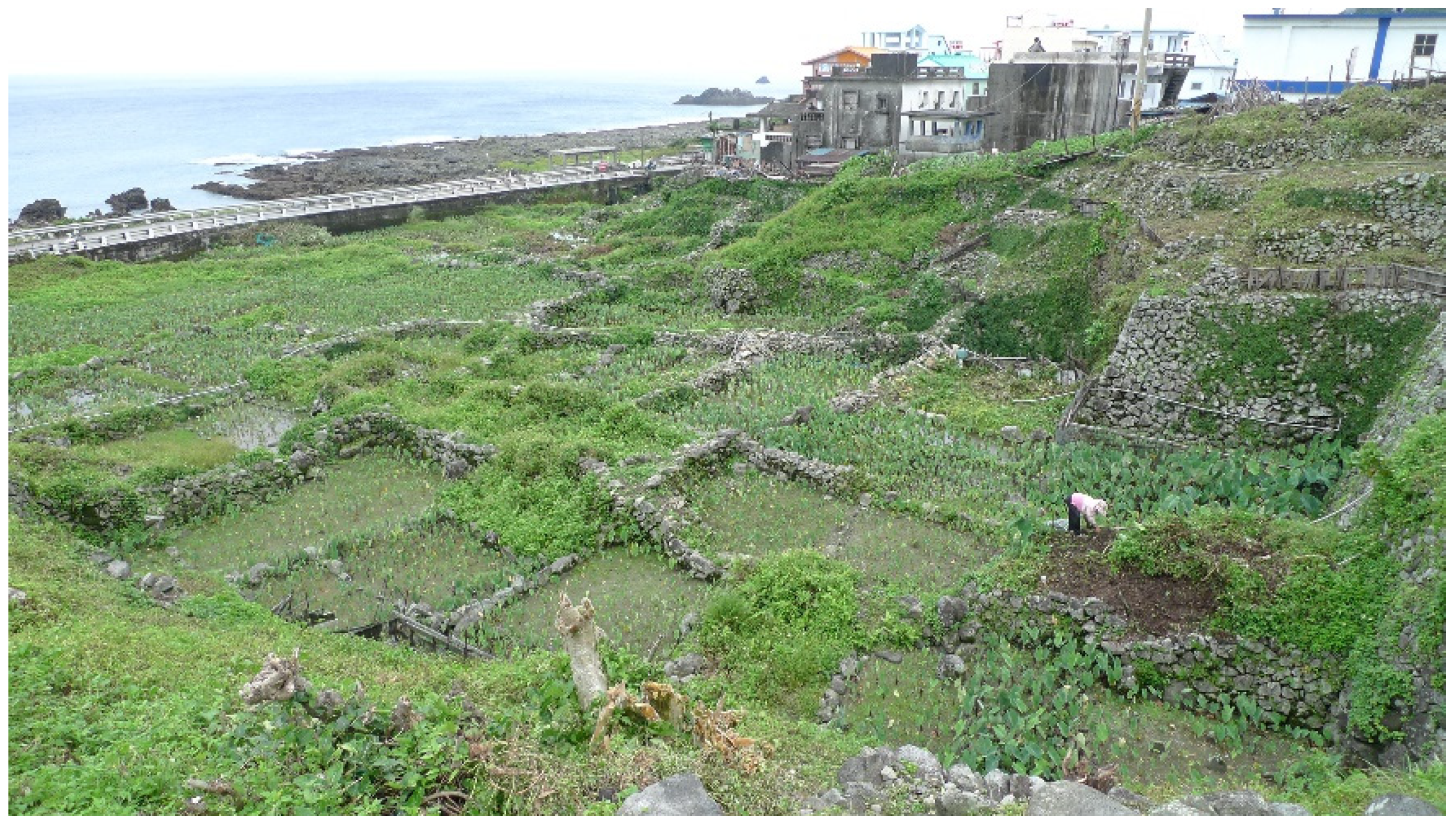 Sustainability 13 10940 g006