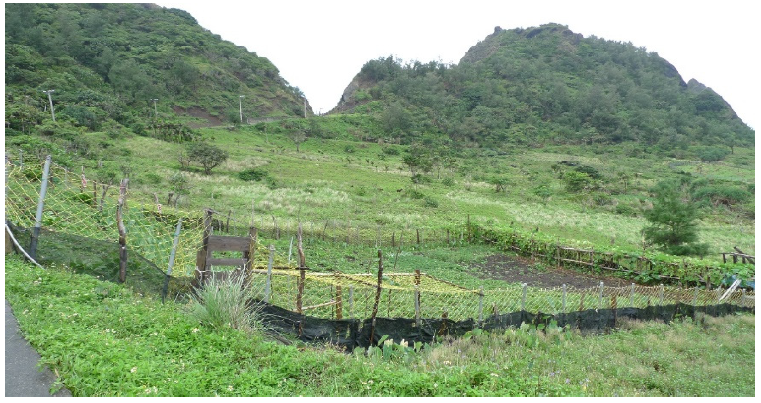 Sustainability 13 10940 g007